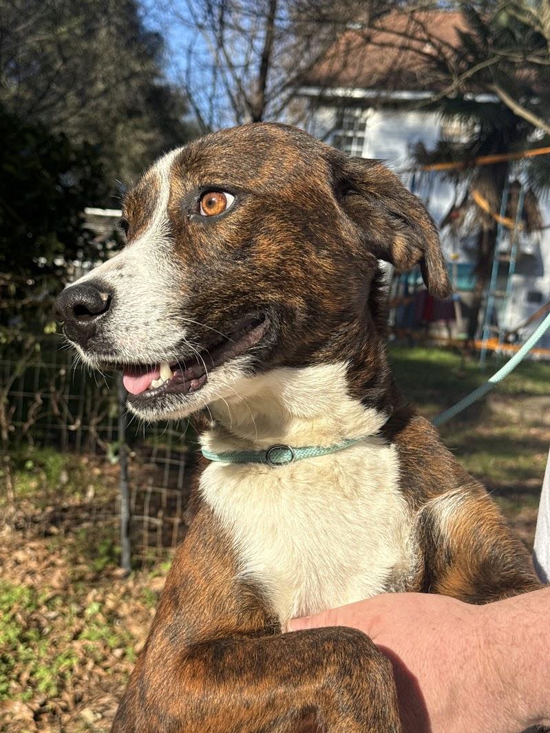 LONDON — thumbnail 3