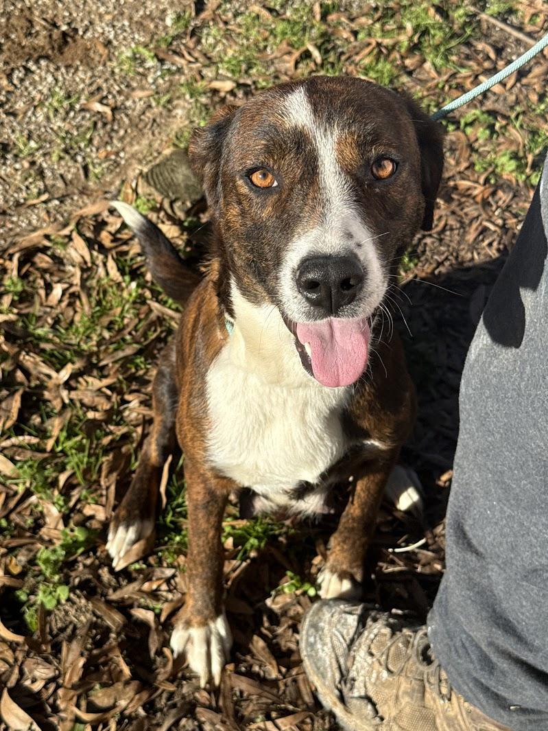 LONDON — thumbnail 4