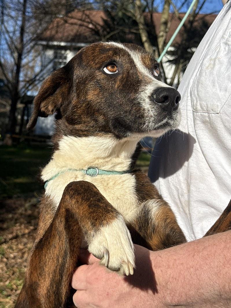 LONDON — thumbnail 5