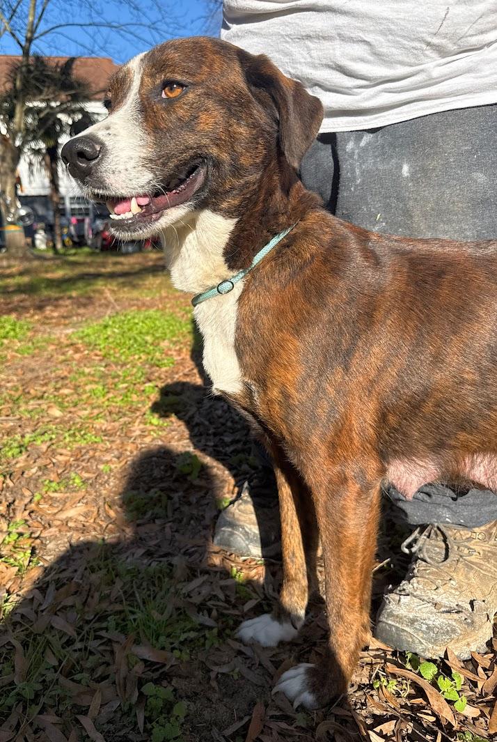 LONDON — thumbnail 6