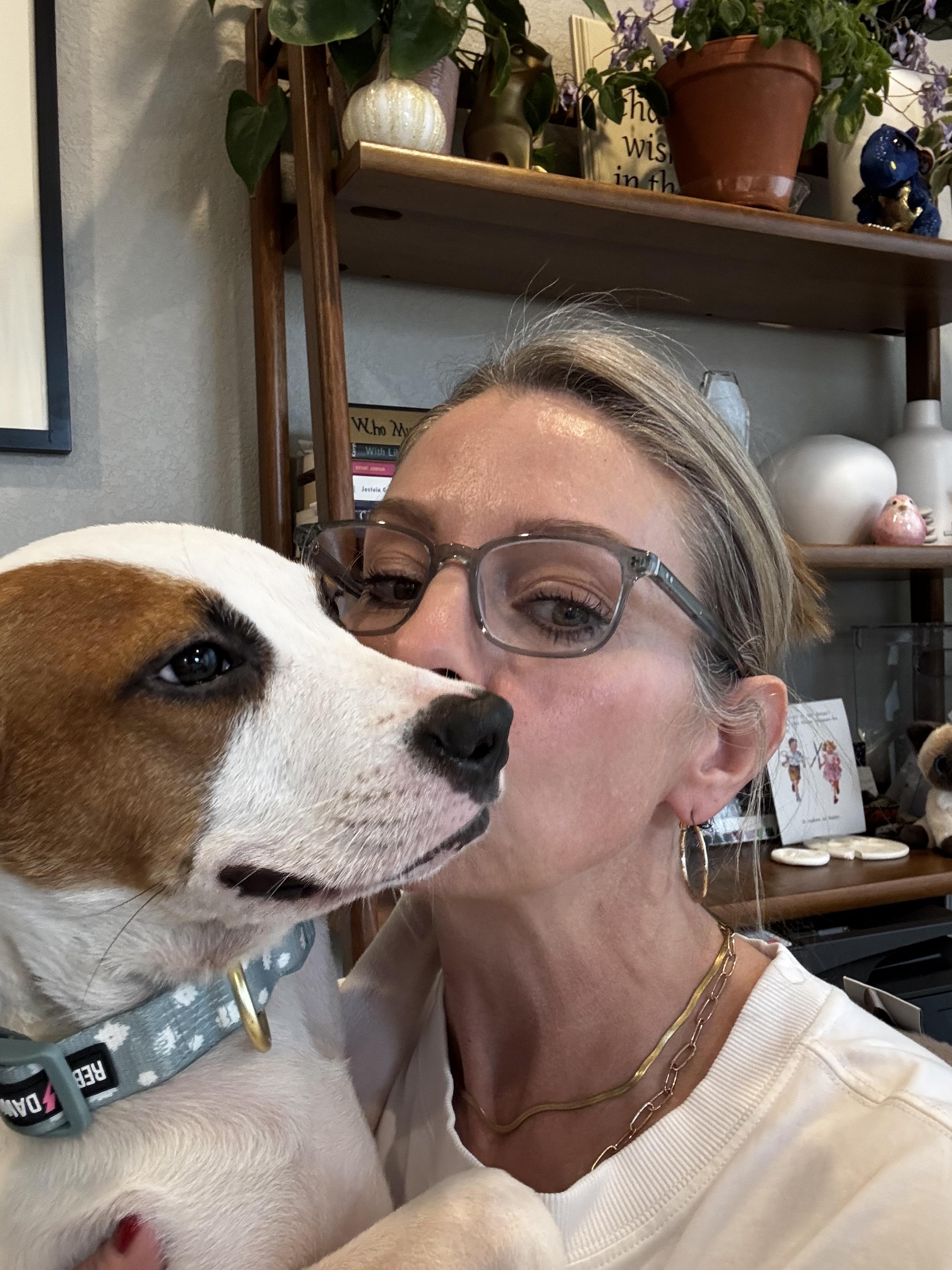 Enlarge Archie, a Adoptable Jack Russell Terrier in Elizabeth, CO image 2/6
