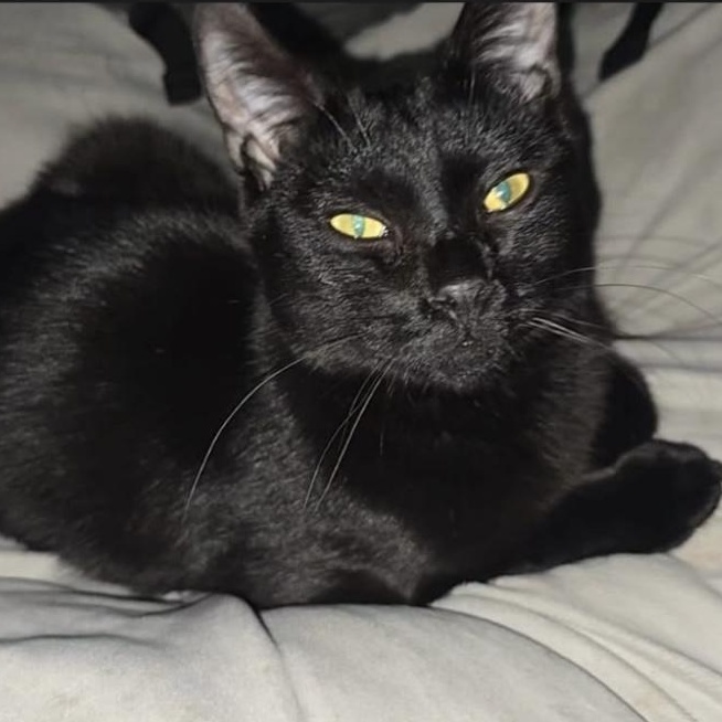 Binx