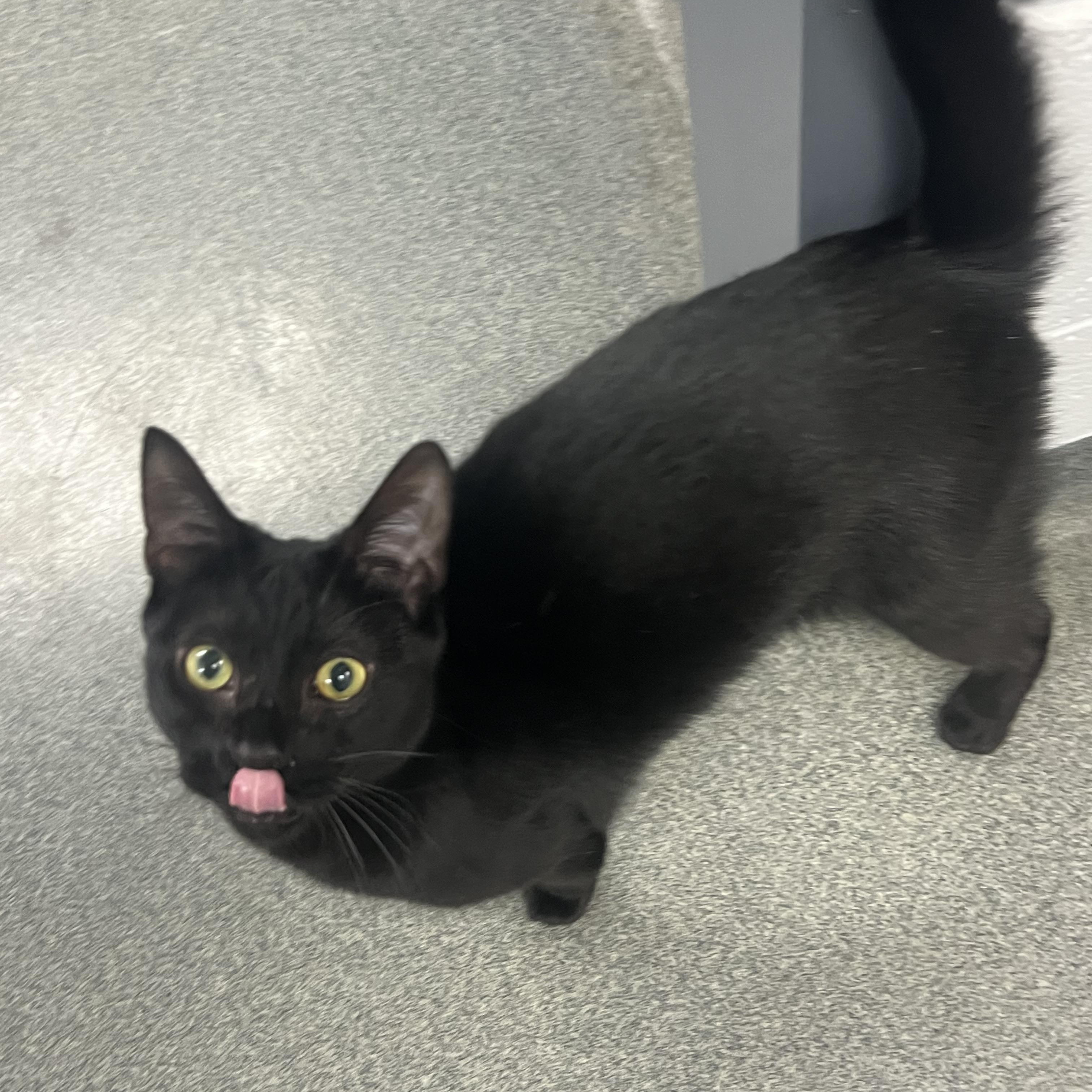 Binx