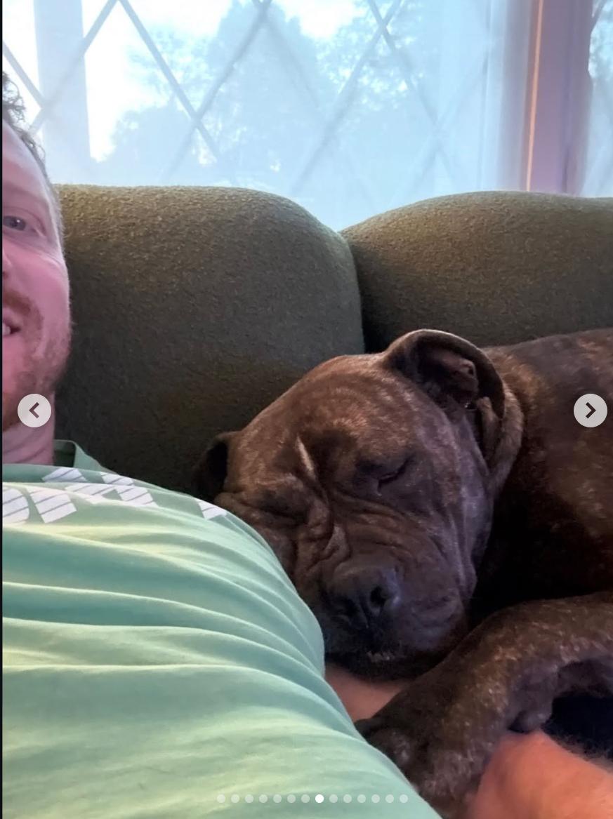 Charles, a ADOPTABLE mixed breed in Beverly Hills, CA image 6/6