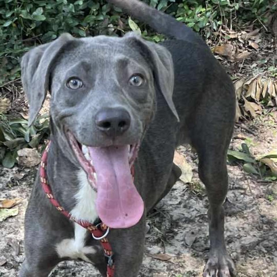 Rosie Jane