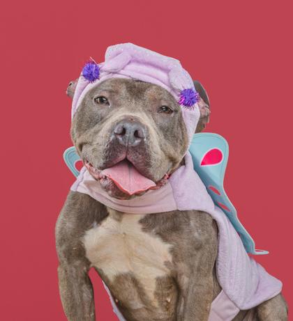 Miley — thumbnail 2