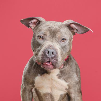 Miley — thumbnail 3