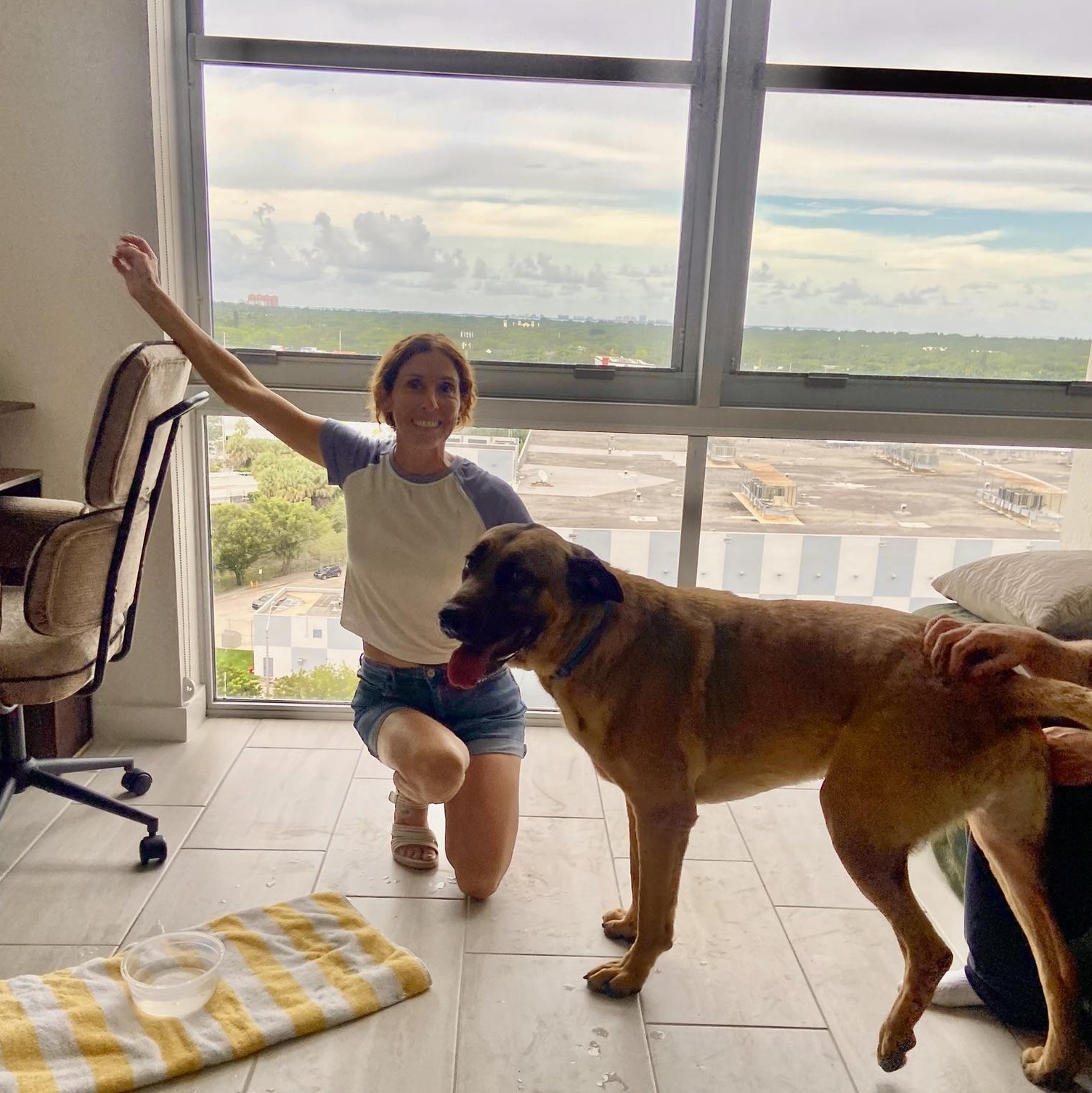 Enlarge SCOOBY, a Adoptable mixed breed in Miami Beach, FL image 5/6