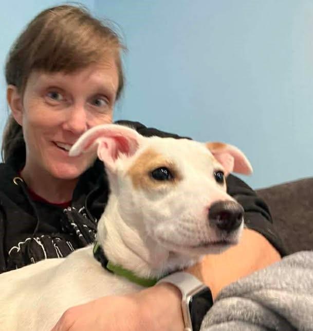 Enlarge Cheerio, an adopted mixed breed in Fort Wayne, IN image 3/6