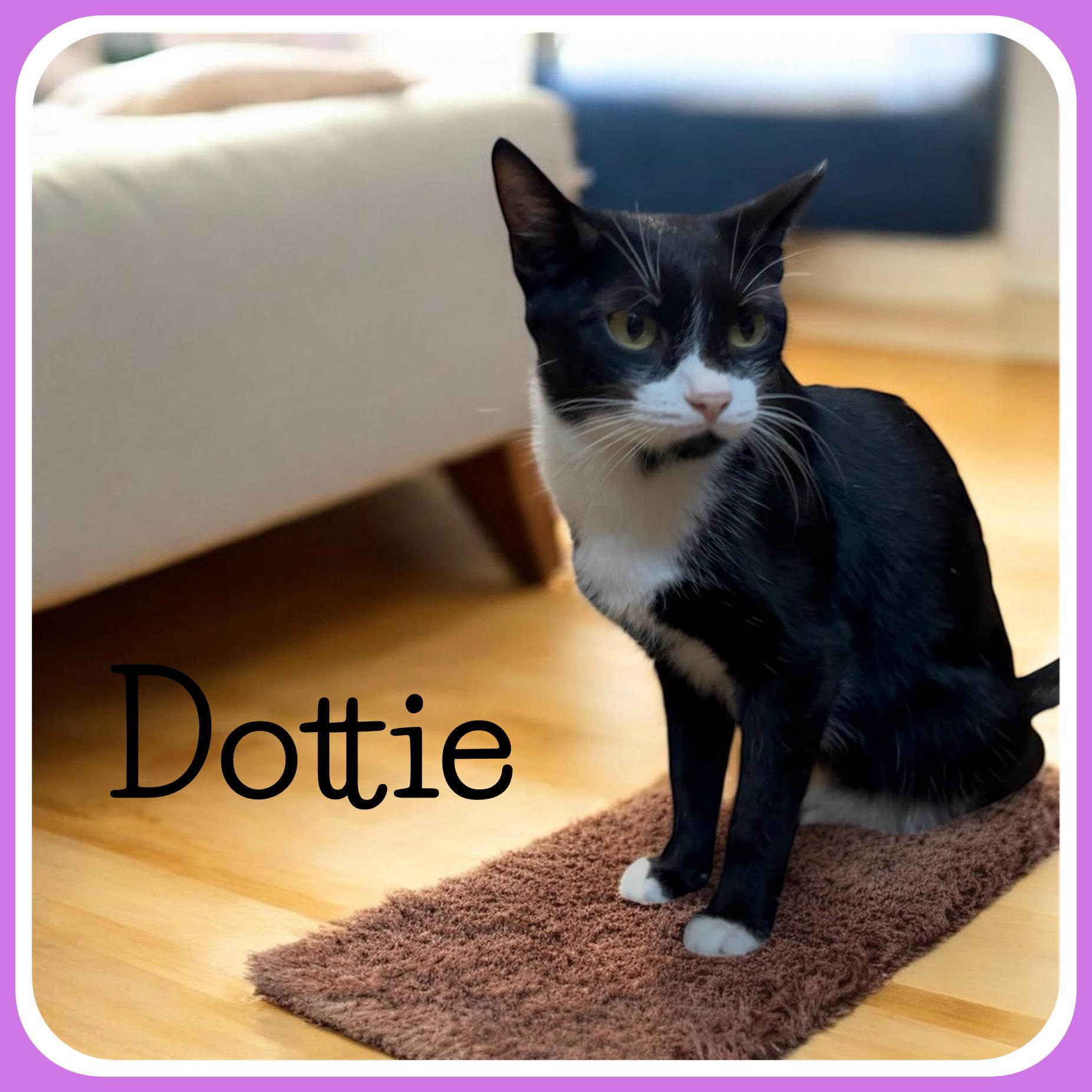 Dottie