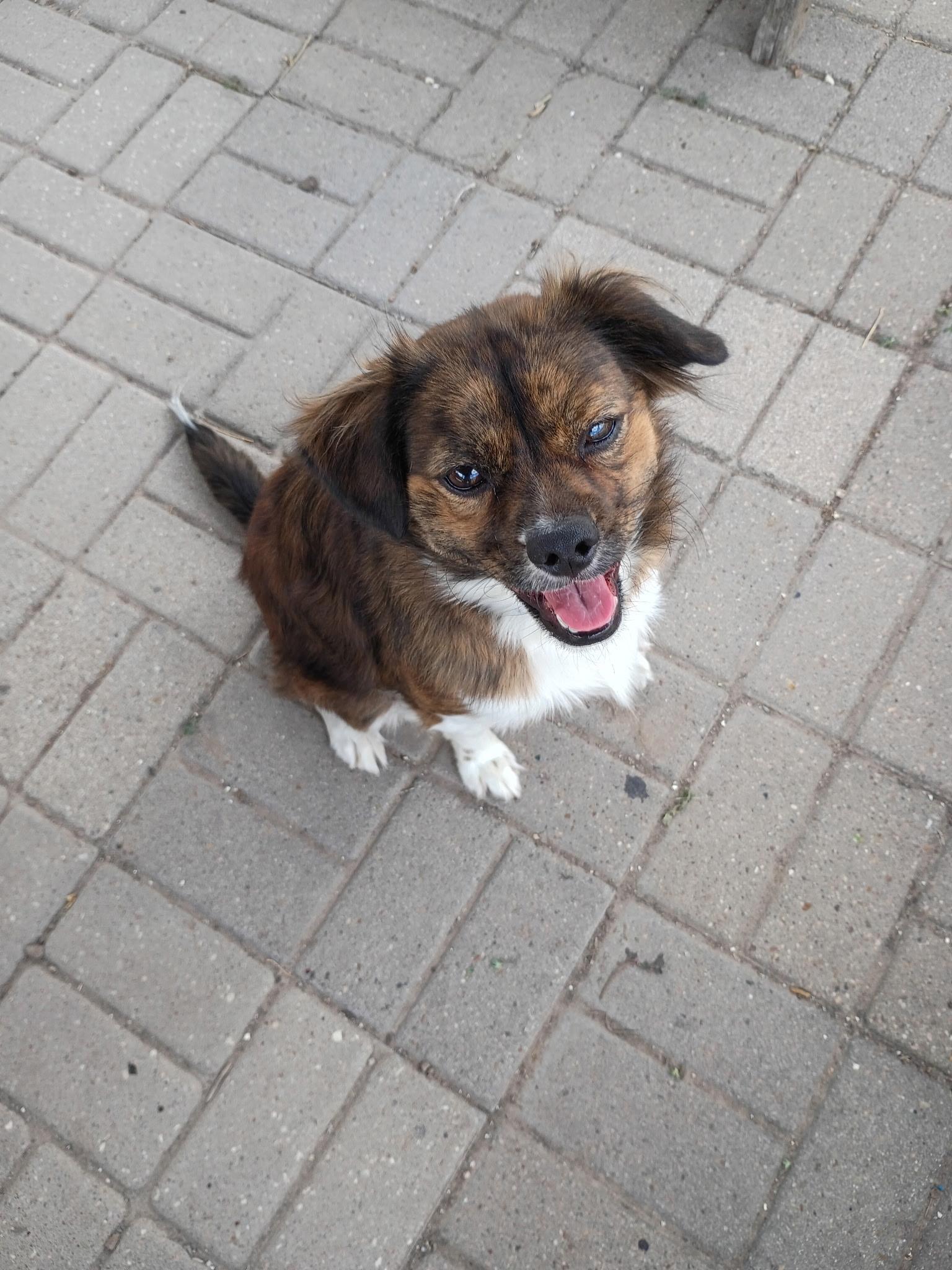 Milo