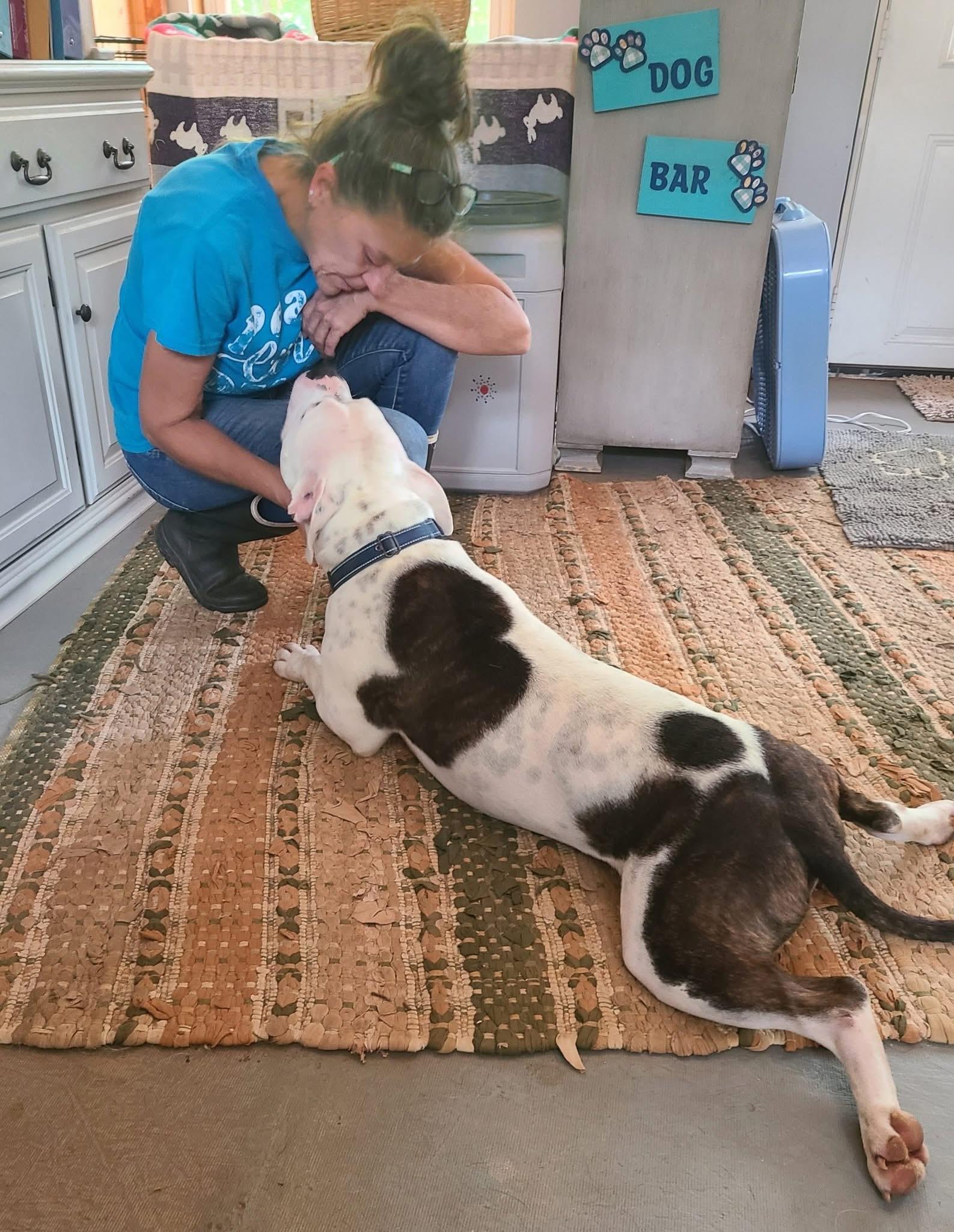 Clyde, a Adoptable Pit Bull Terrier in Roanoke, AL image 5/6