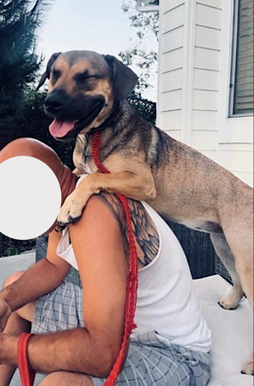 Bear — thumbnail 4