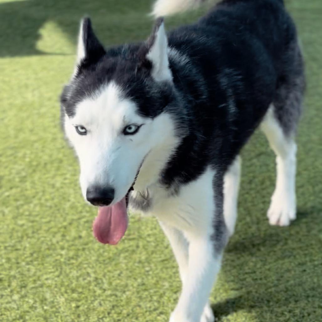 Marbles A2060717 — thumbnail 2