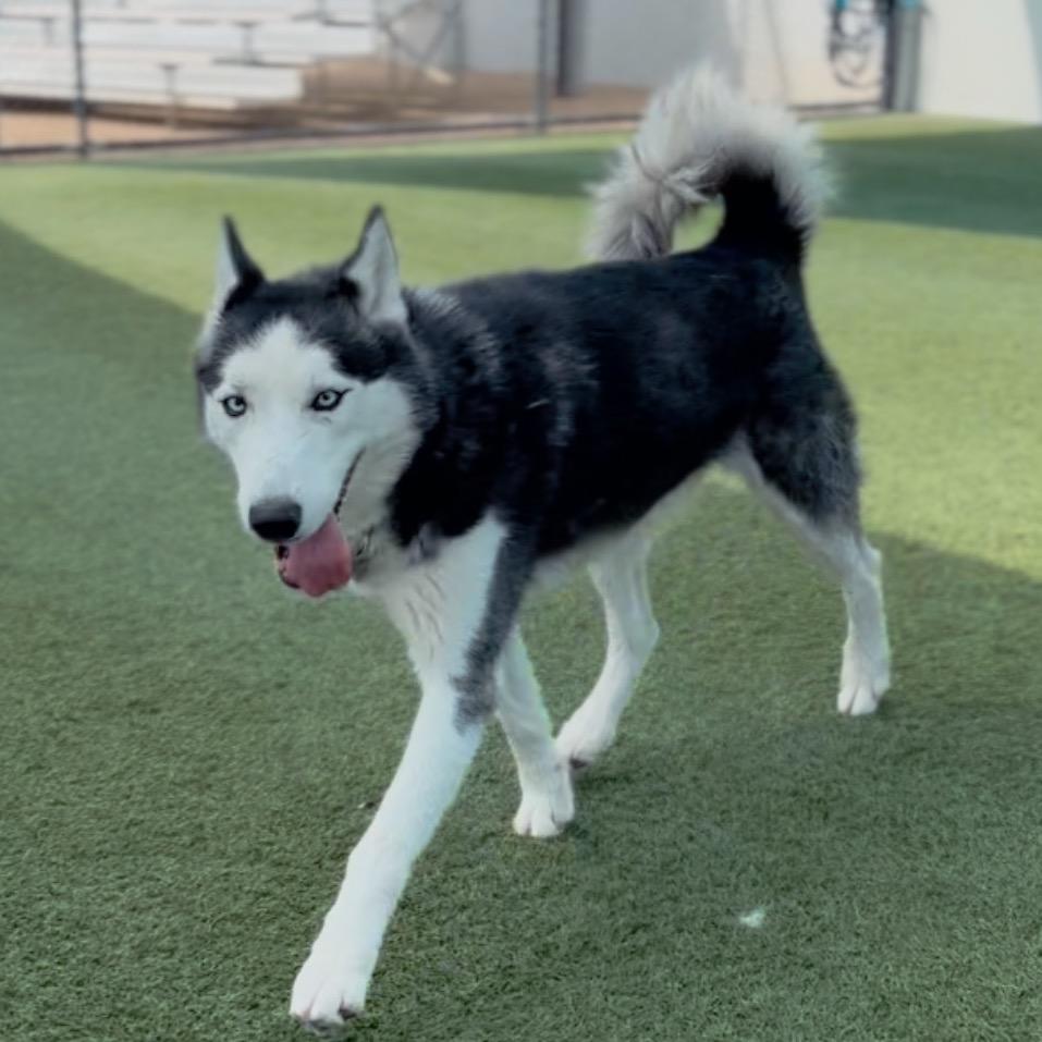 Marbles A2060717 — thumbnail 3