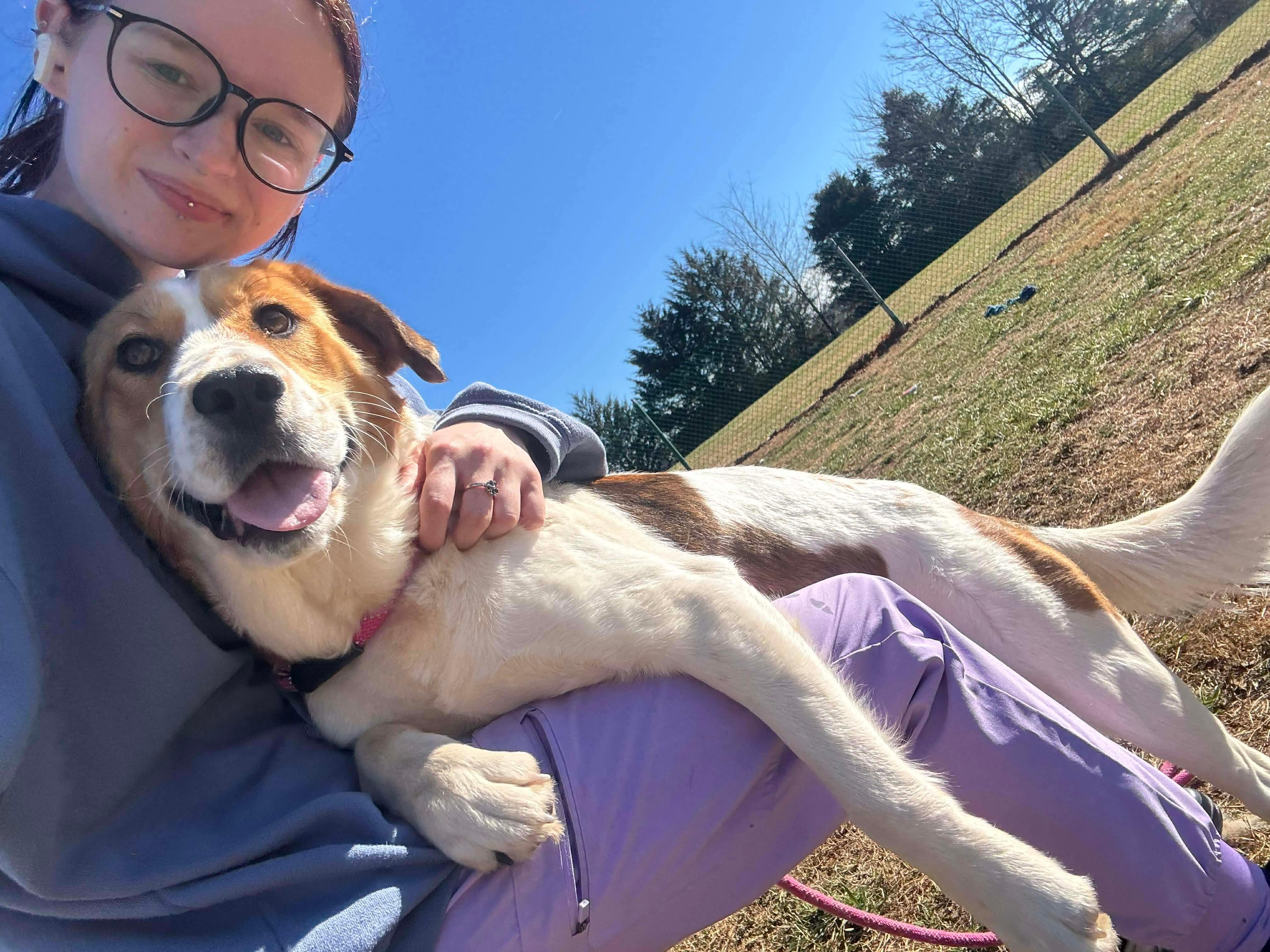 Sadie, a Adoptable mixed breed in Culpeper, VA image 5/6