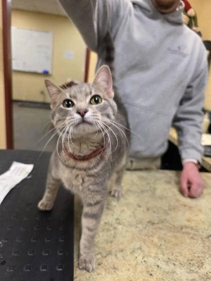 Yarnwindle — thumbnail 2