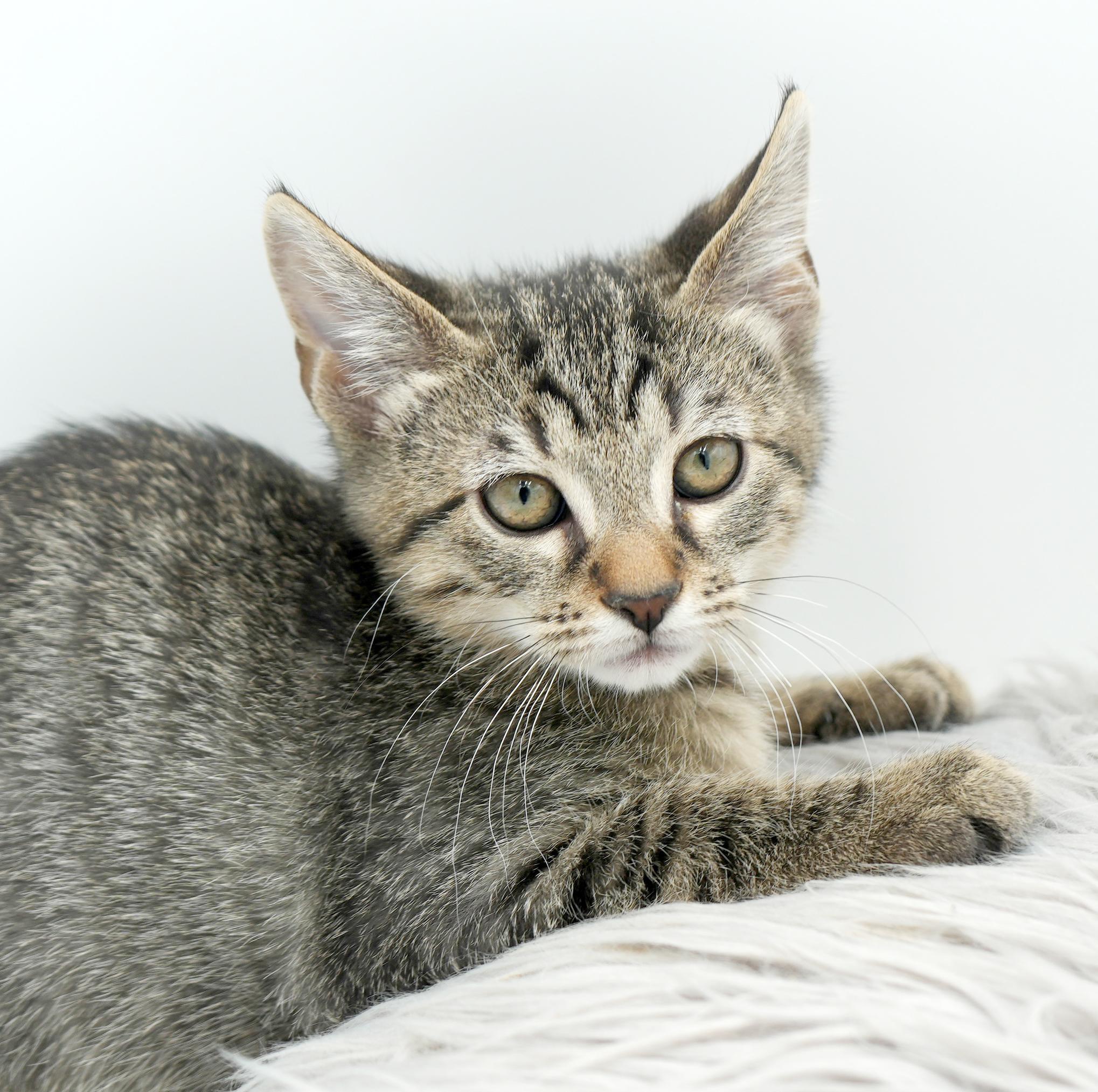 Zander will rock your world!  Super tiny cutie!