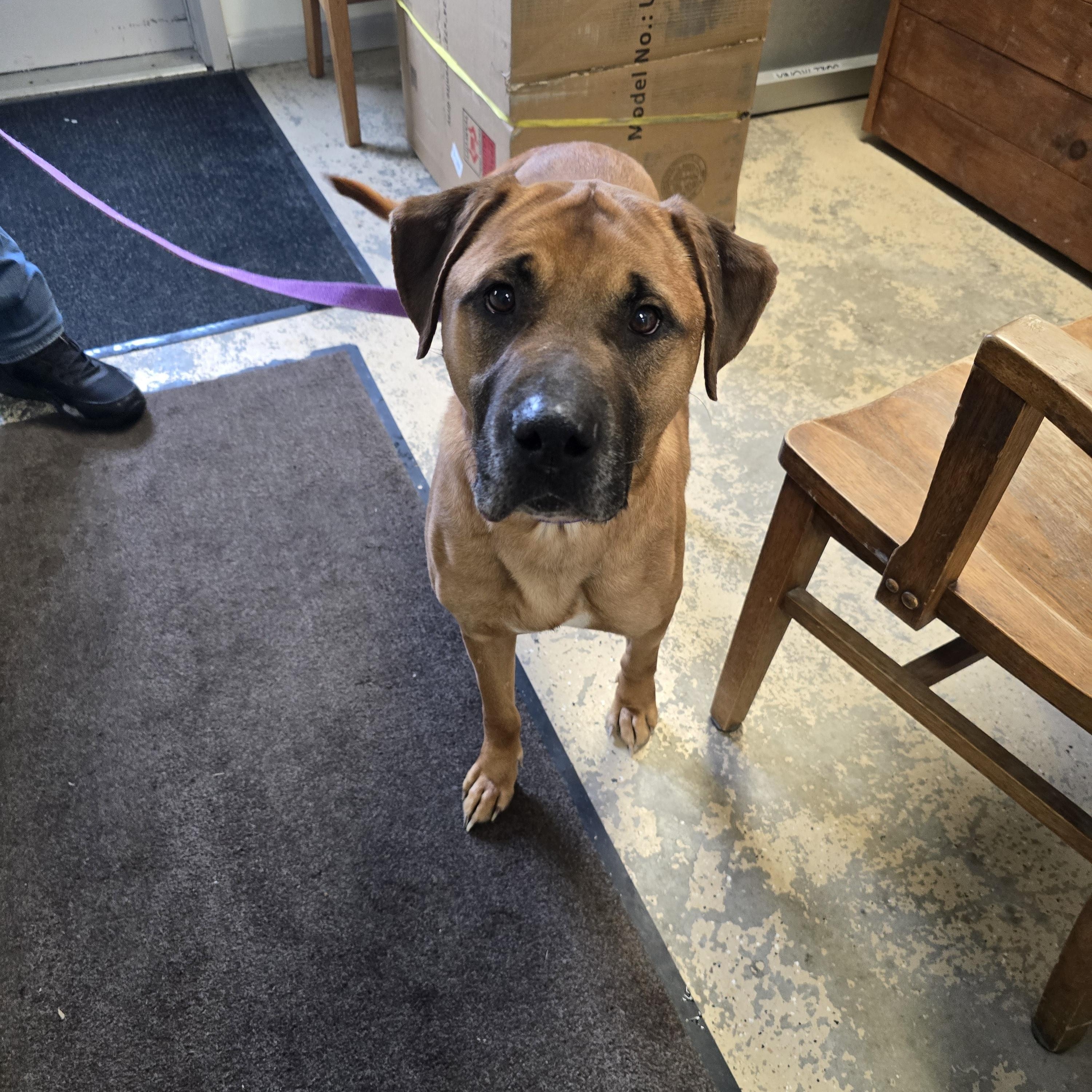 Axel