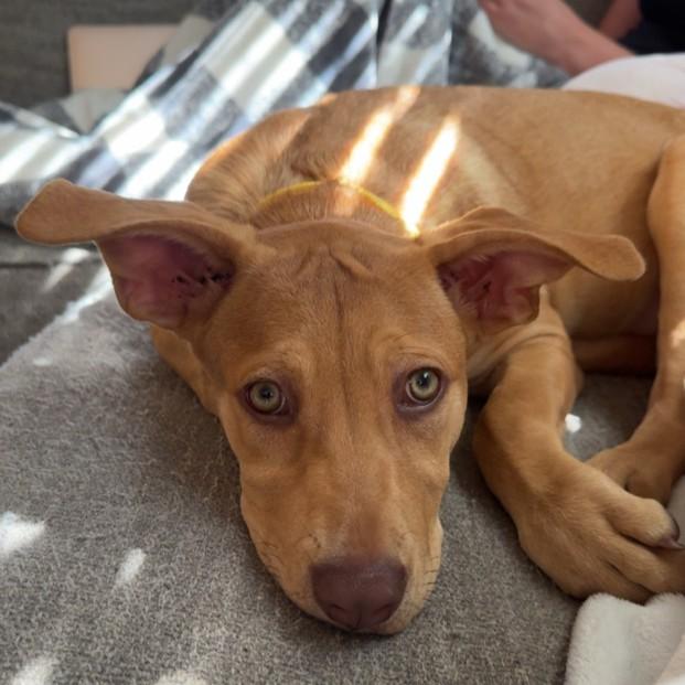 CosMc — thumbnail 3