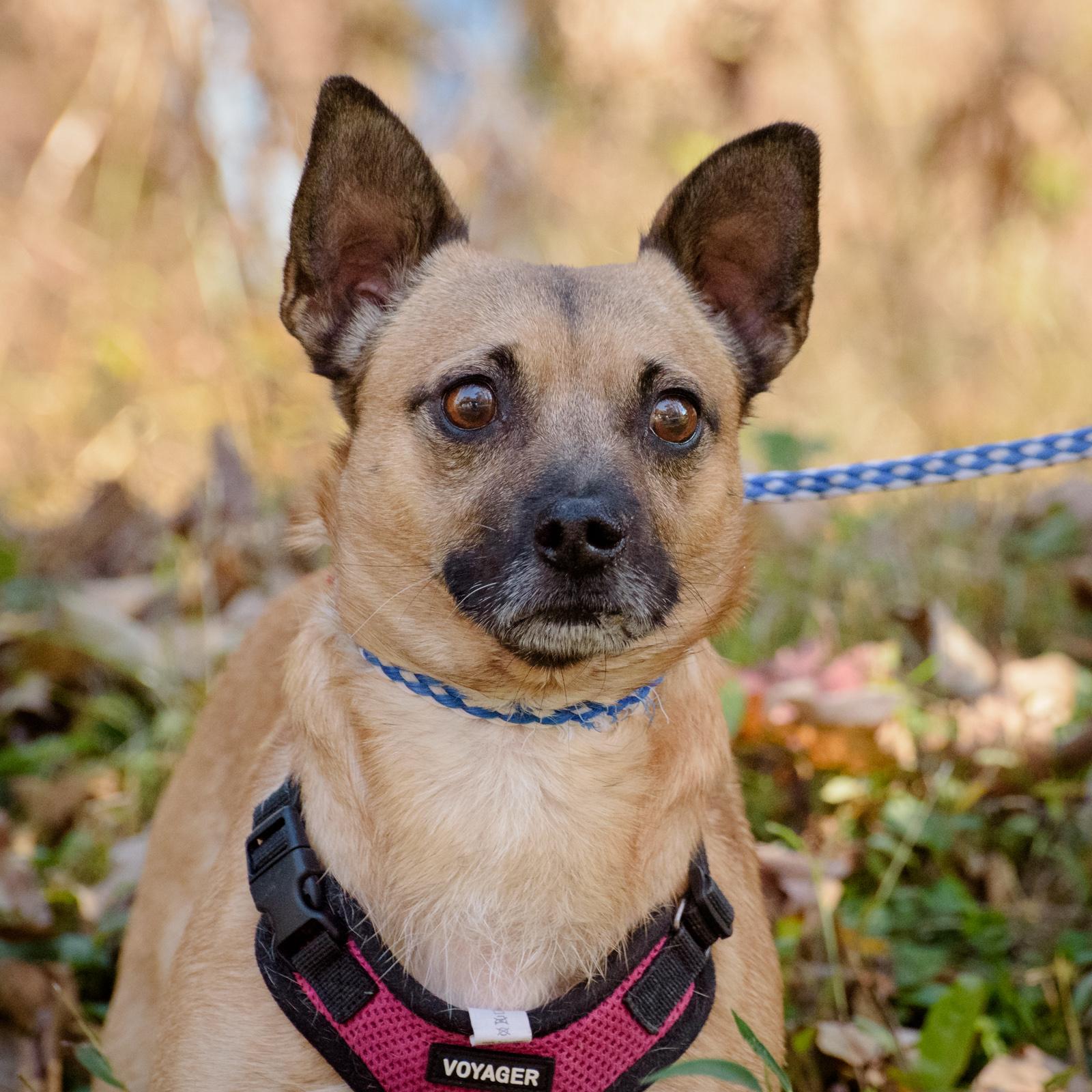 Truffles thumbnail 4