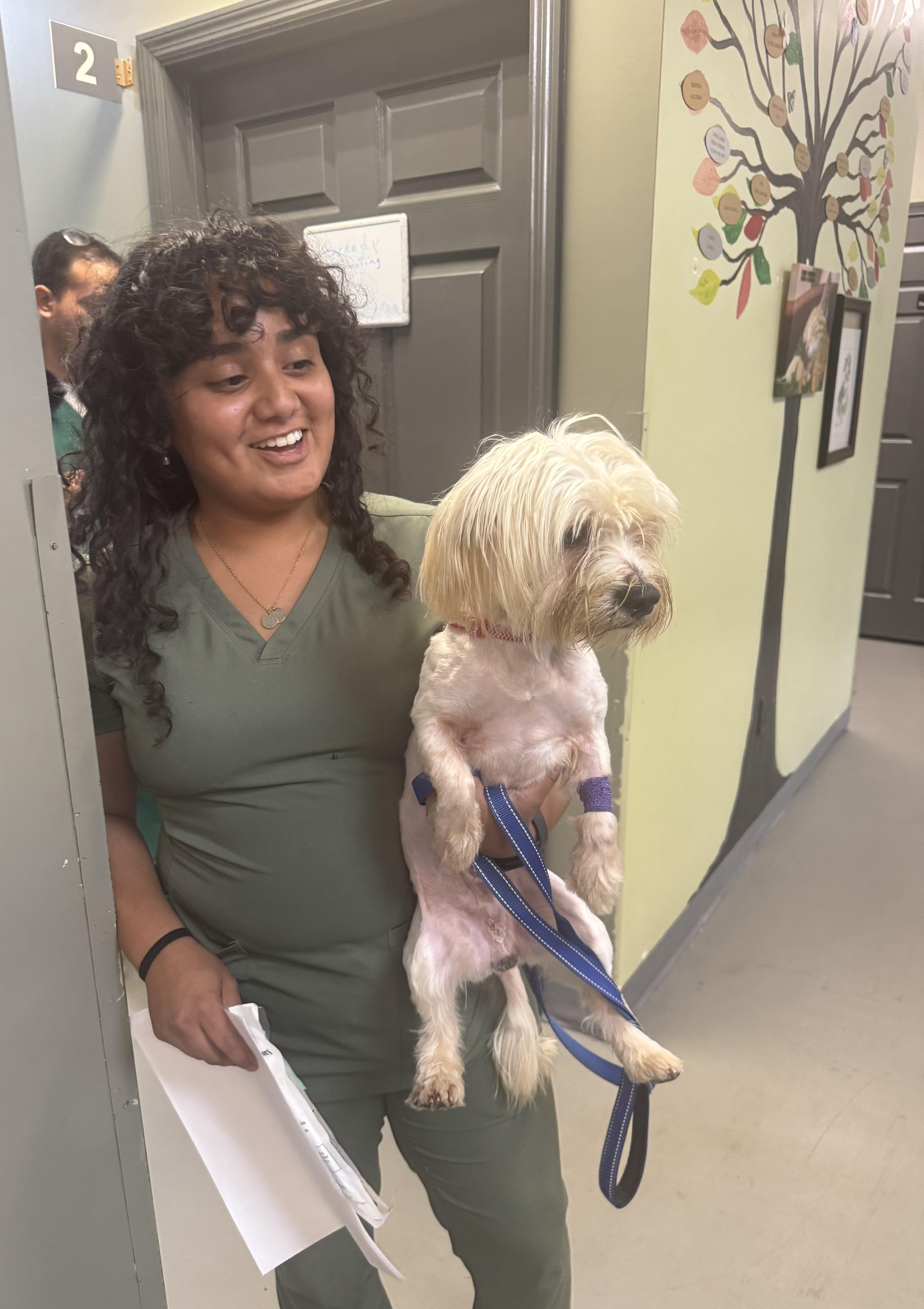 Enlarge Wally, a Adopted mixed breed in Lake Worth, FL image 4/6