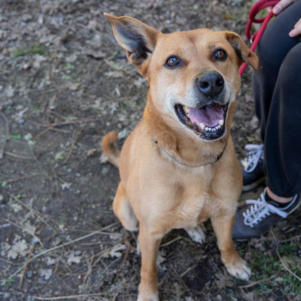 MARLIE — thumbnail 4