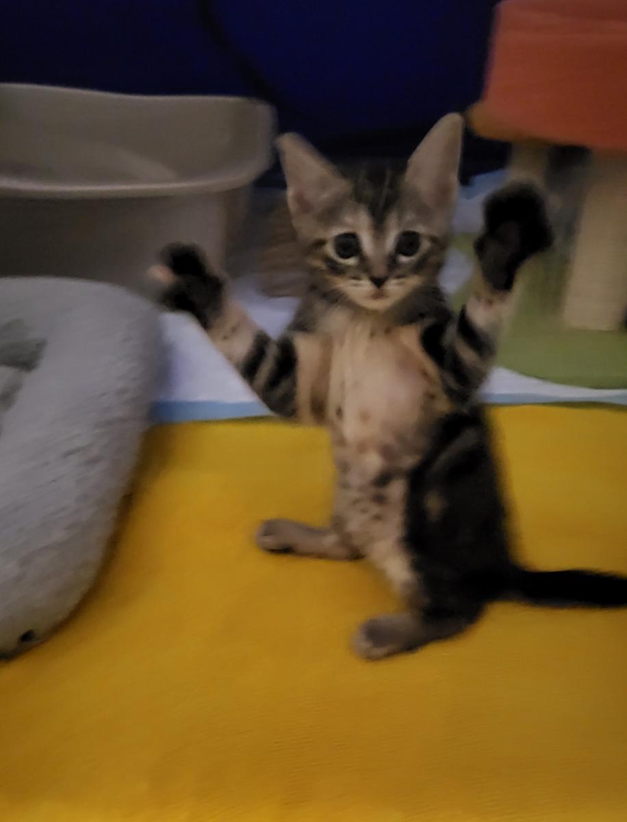 Compass And Channel thumbnail 5