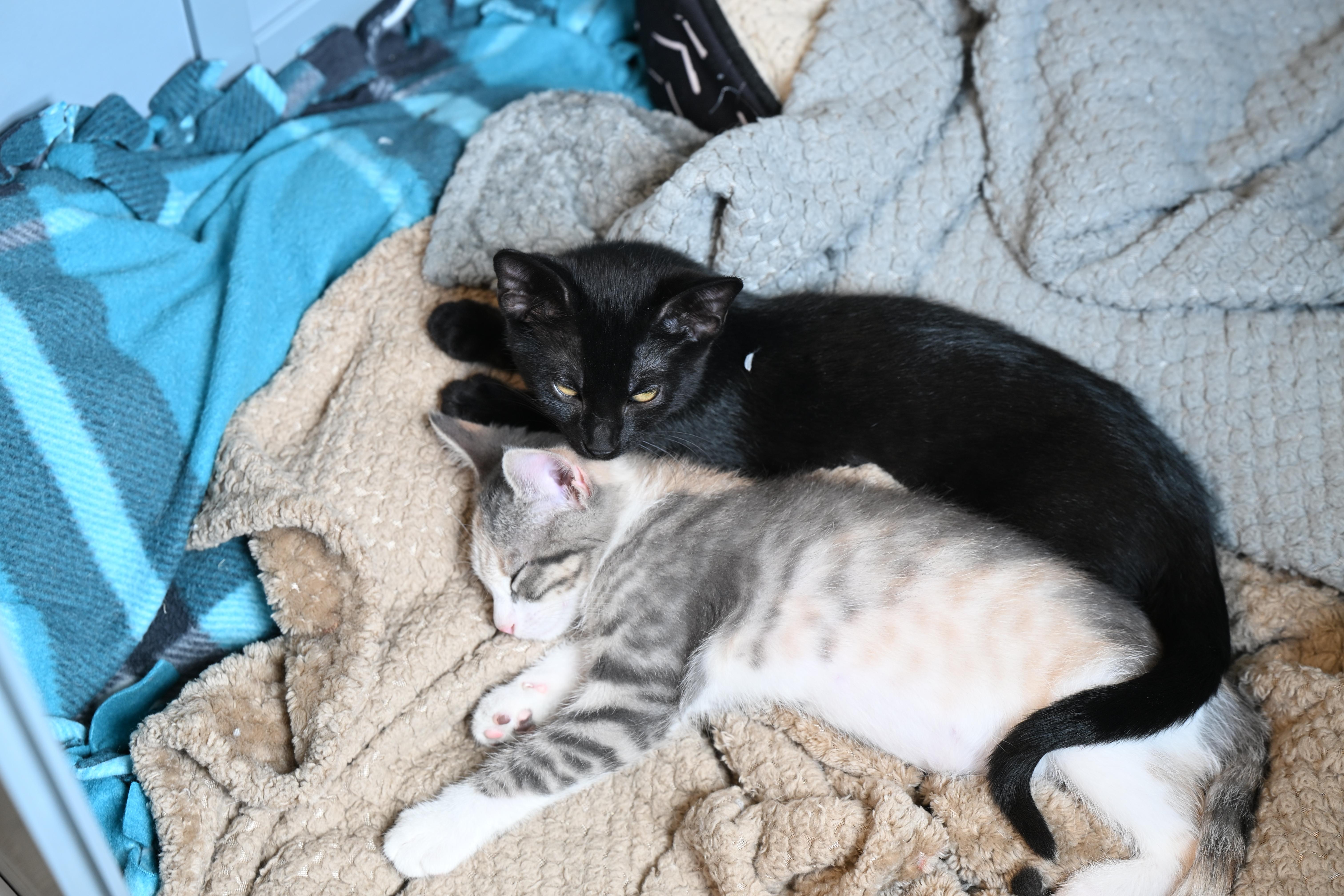 Priscilla & Jude photo 4
