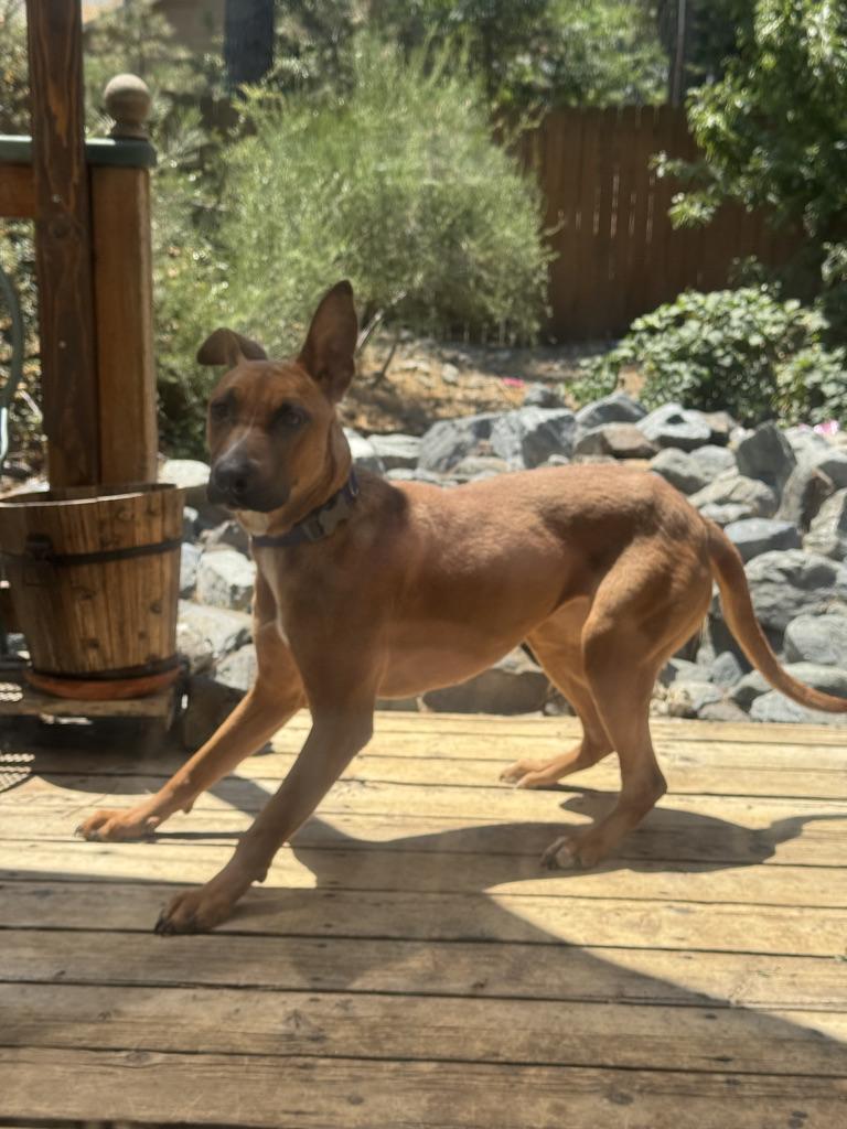 Mimi-Roo photo 3