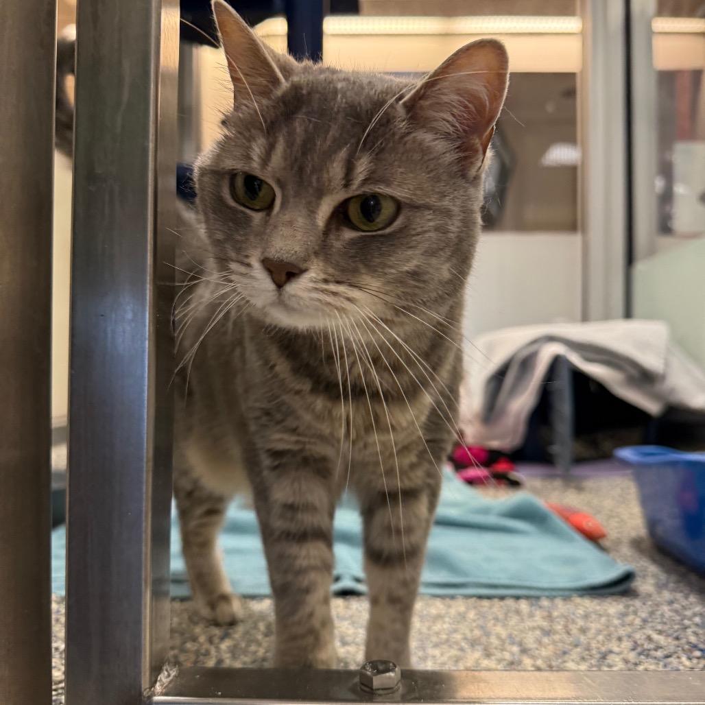 Coco — thumbnail 2