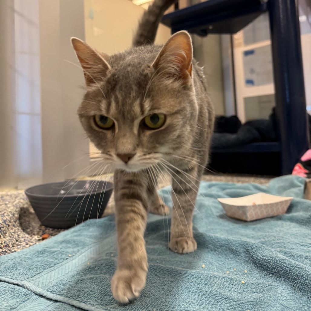 Coco — thumbnail 5