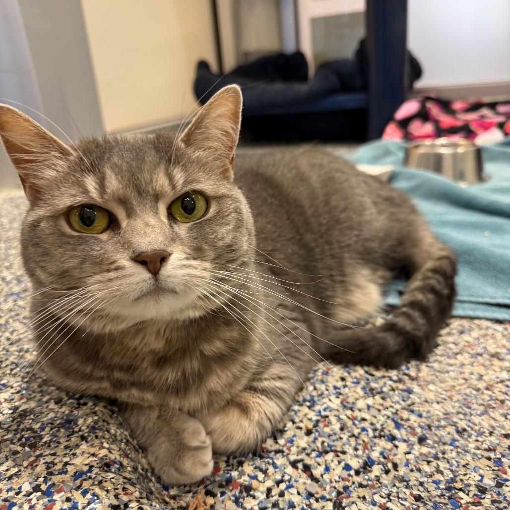 Coco — thumbnail 6