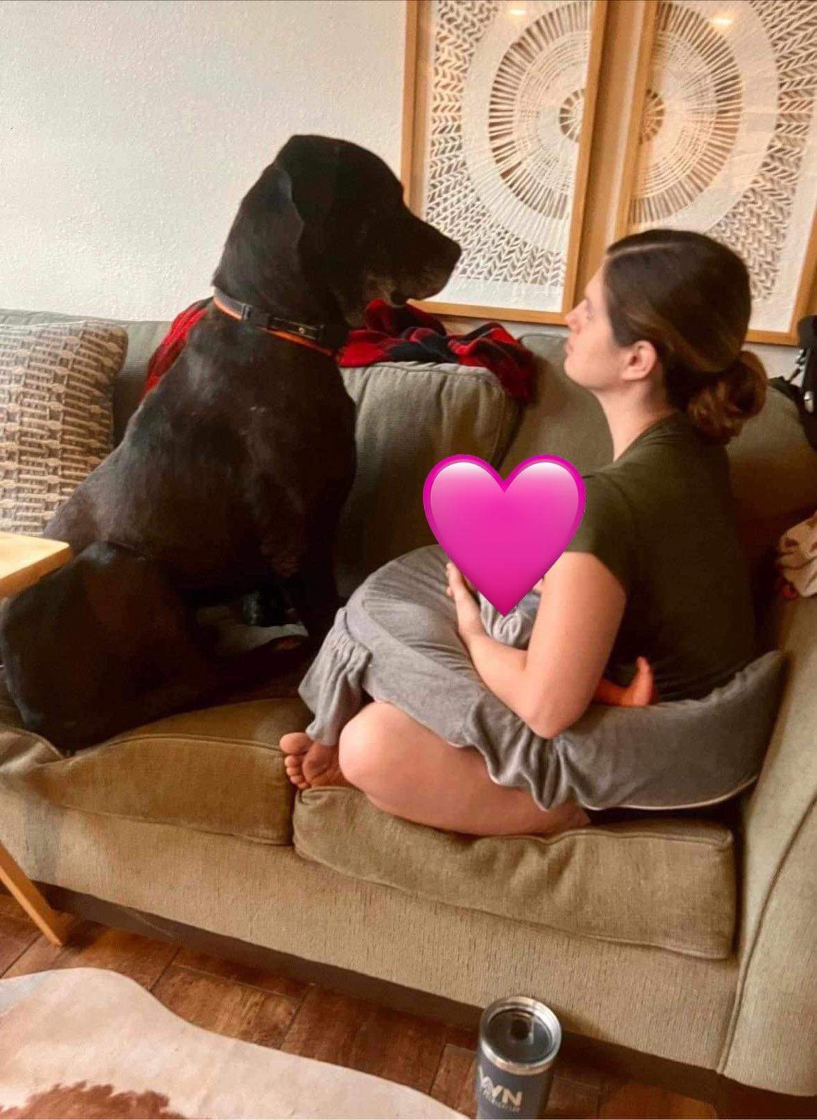 Enlarge Duke, a Adoptable Great Dane in Durant, OK image 3/6