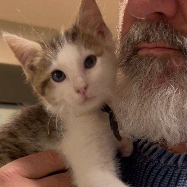 Walt Whiskers thumbnail 3