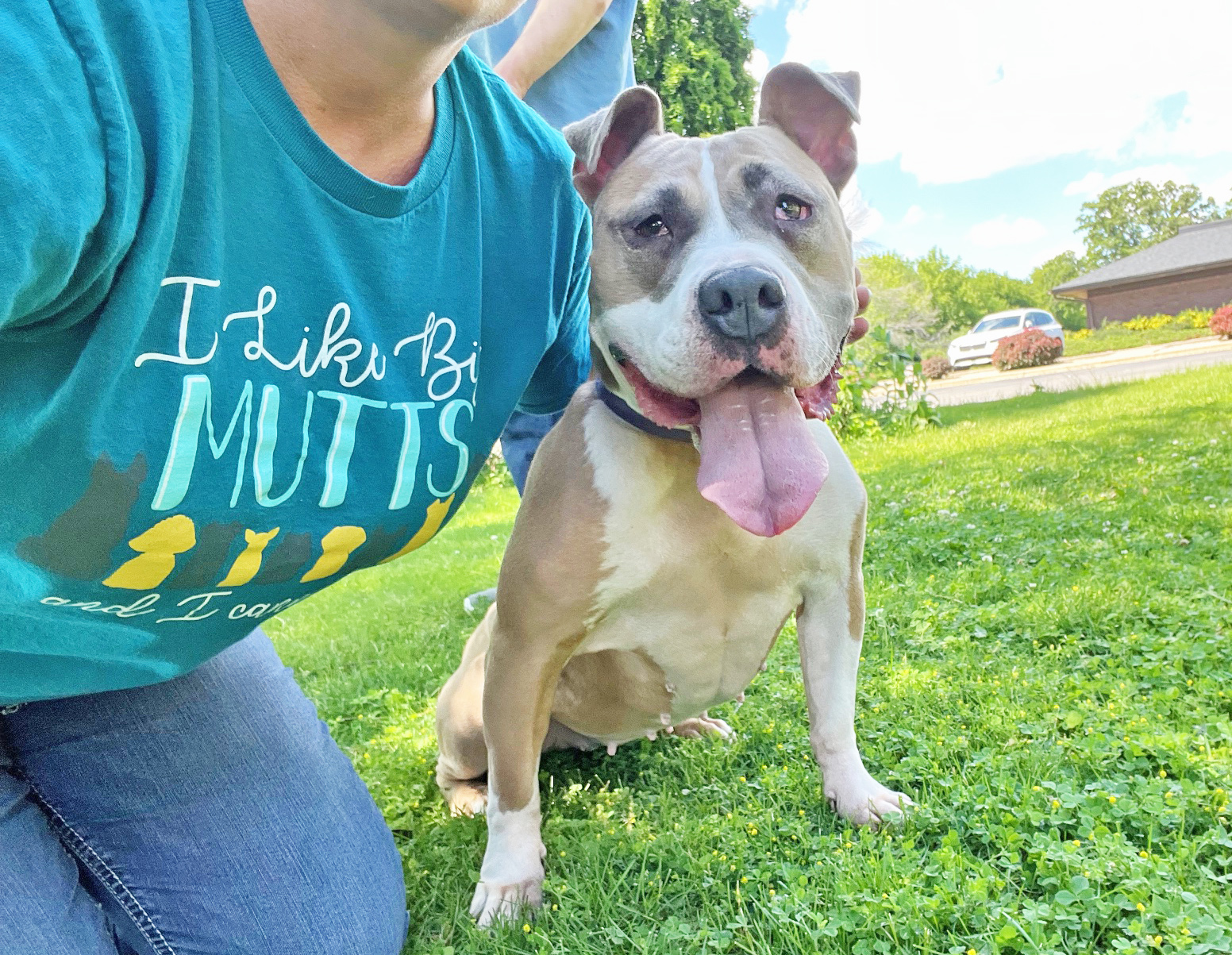 London - couch potato, silly loving goofball 3
