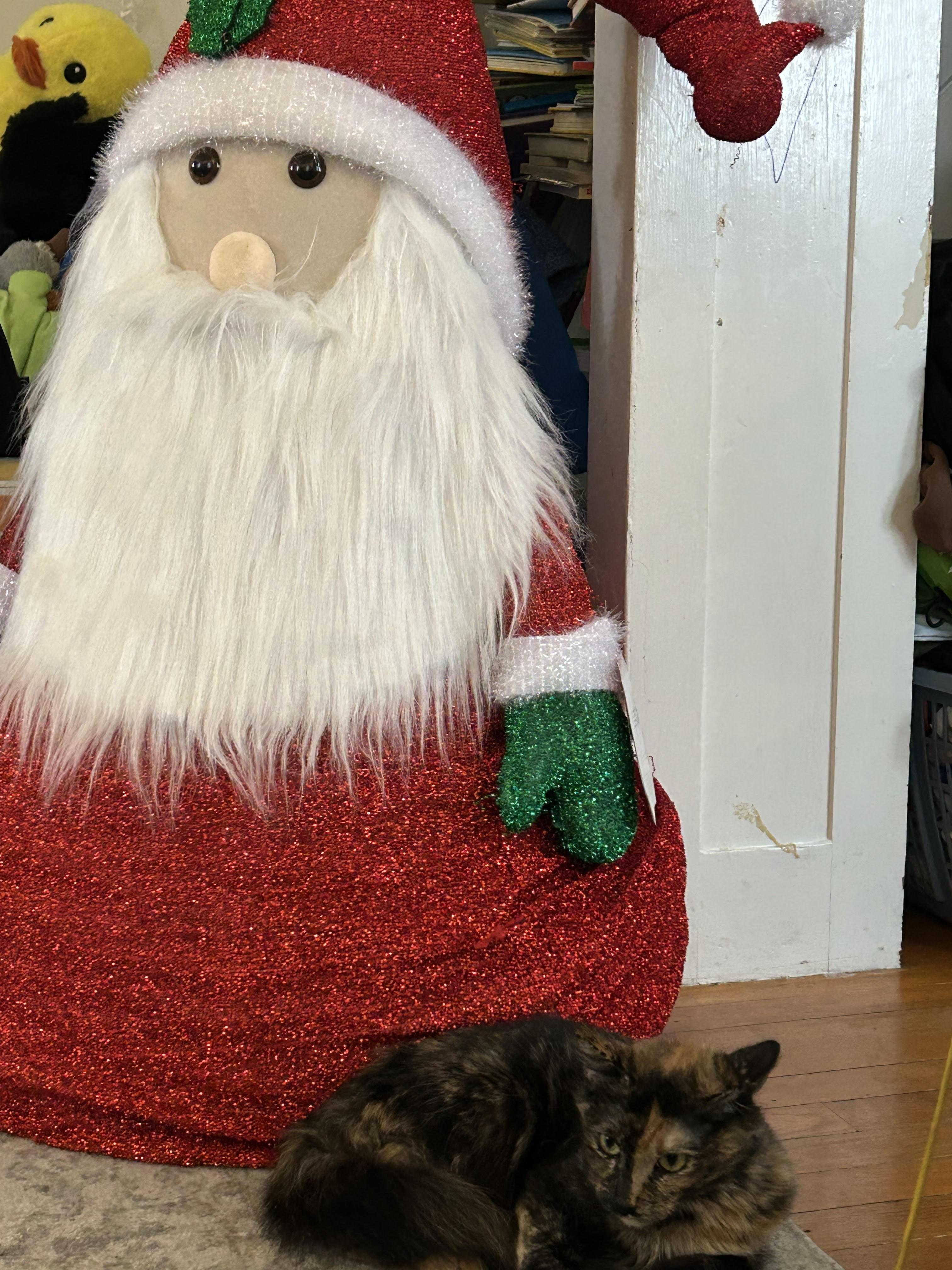 Enlarge Espresso, a ADOPTABLE mixed breed in Chelsea, VT image 1/2