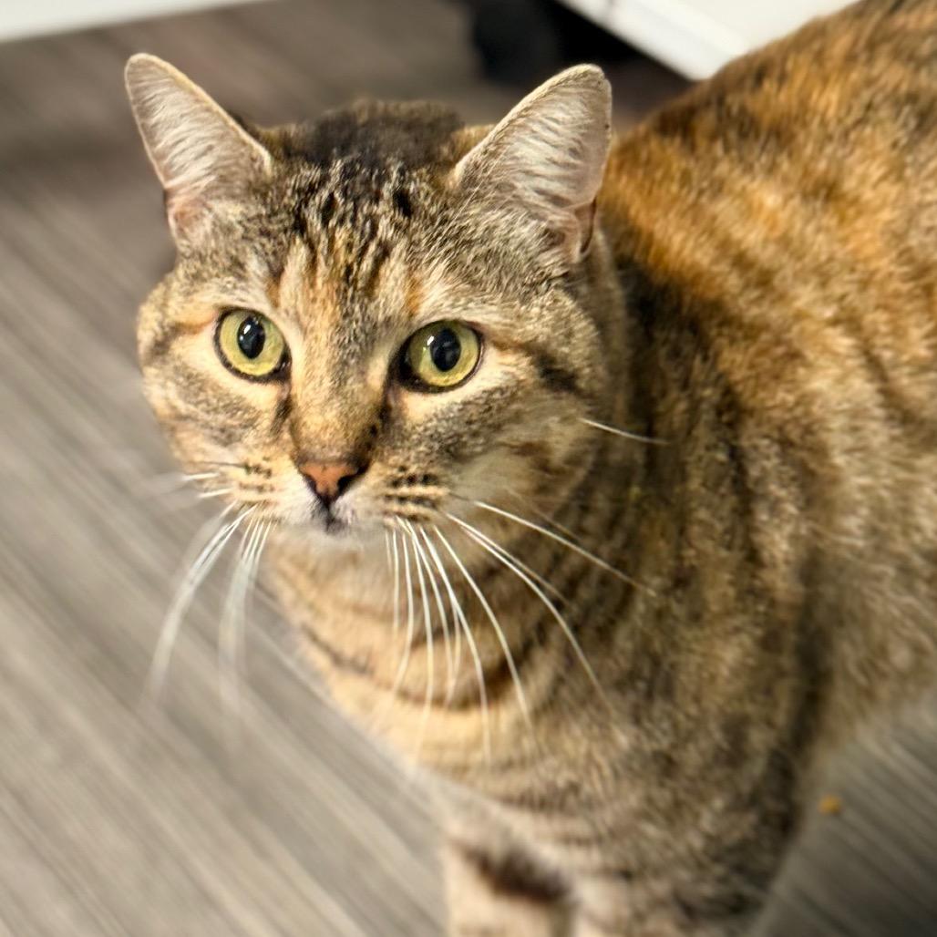 Lola — thumbnail 2