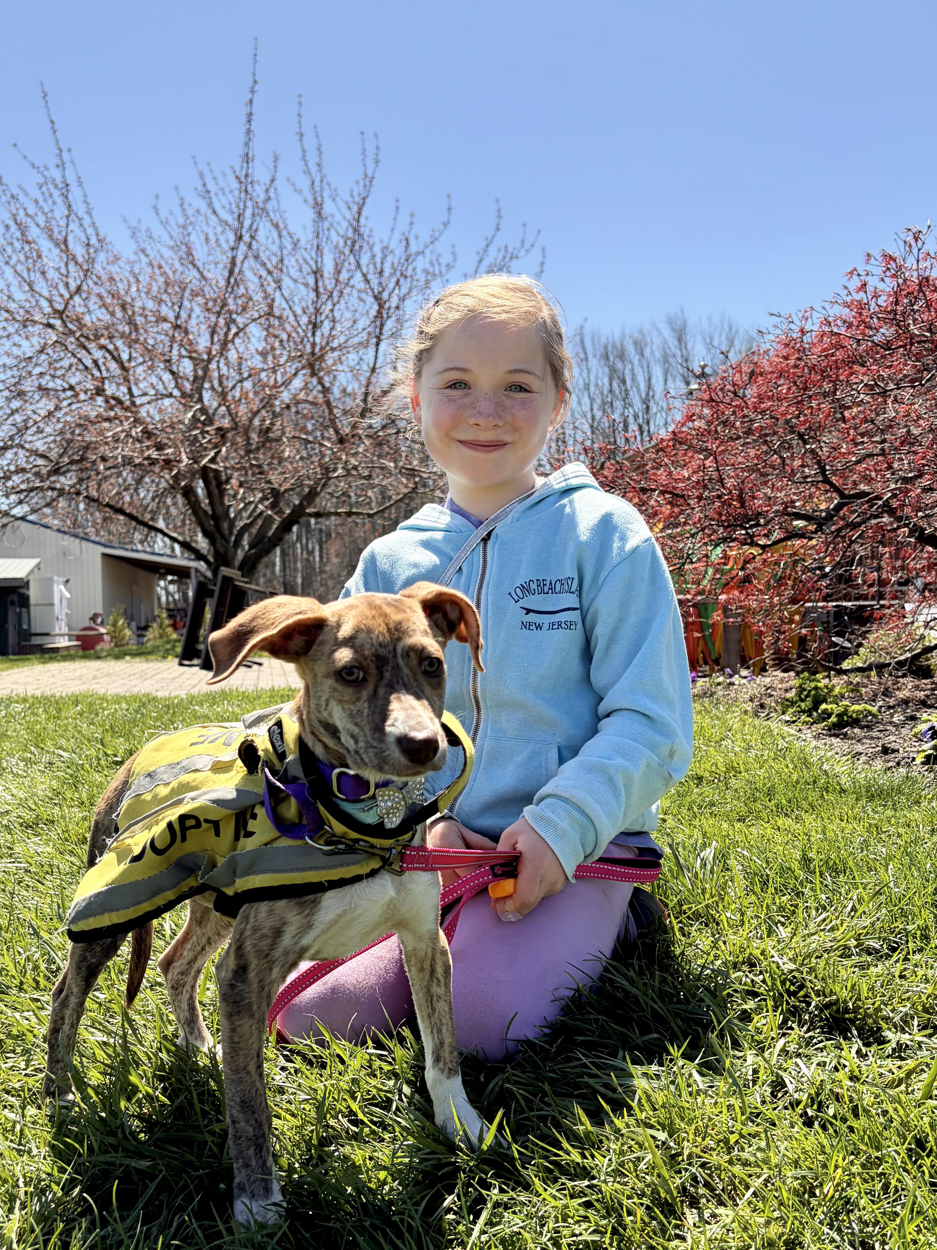 Enlarge Kelly , a ADOPTABLE mixed breed in New York, NY image 6/6