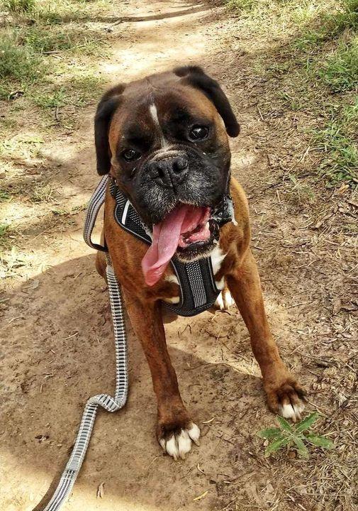 Chip — thumbnail 6