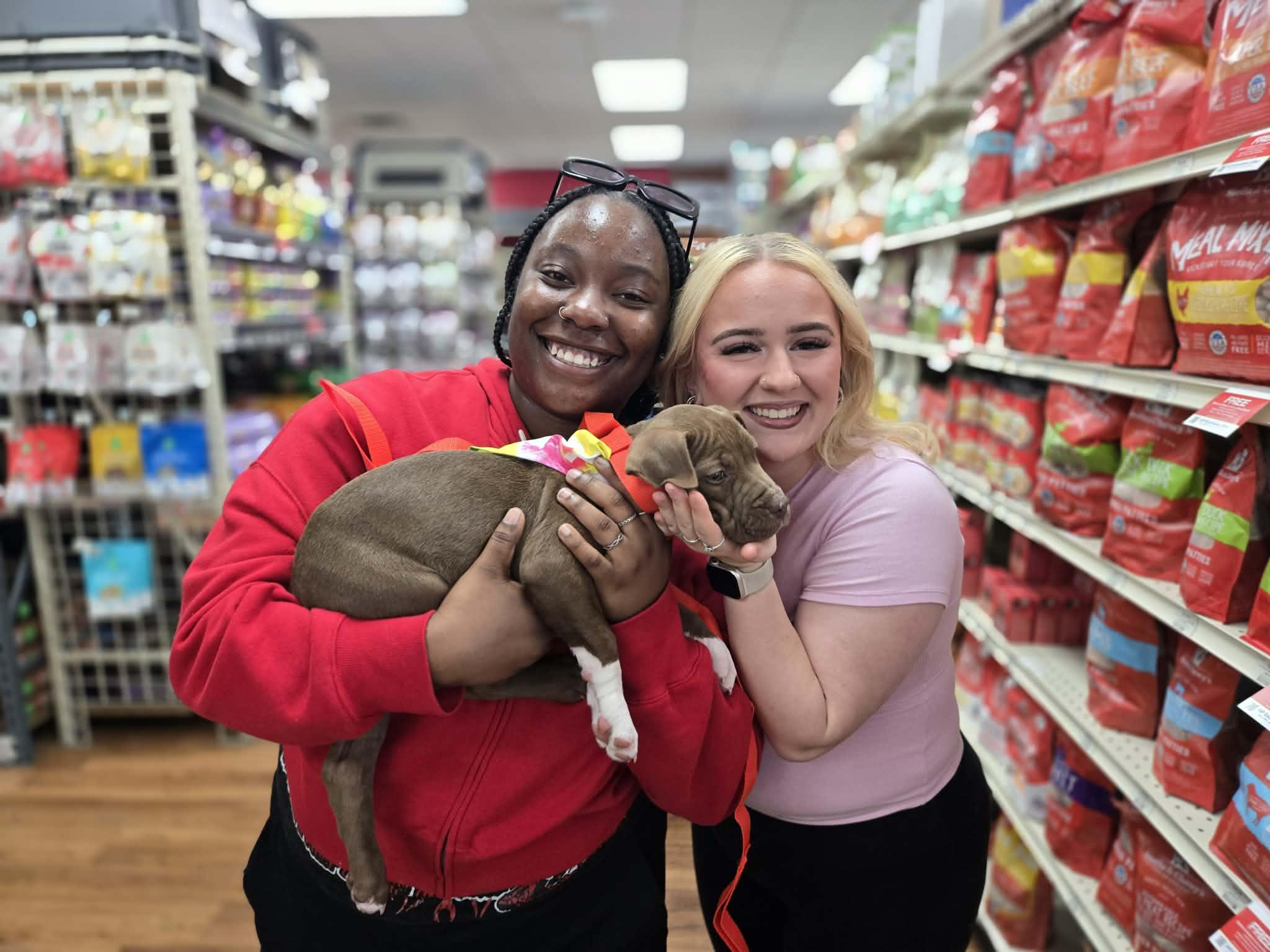 Finny, a Adopted mixed breed in Panama City, FL image 1/3