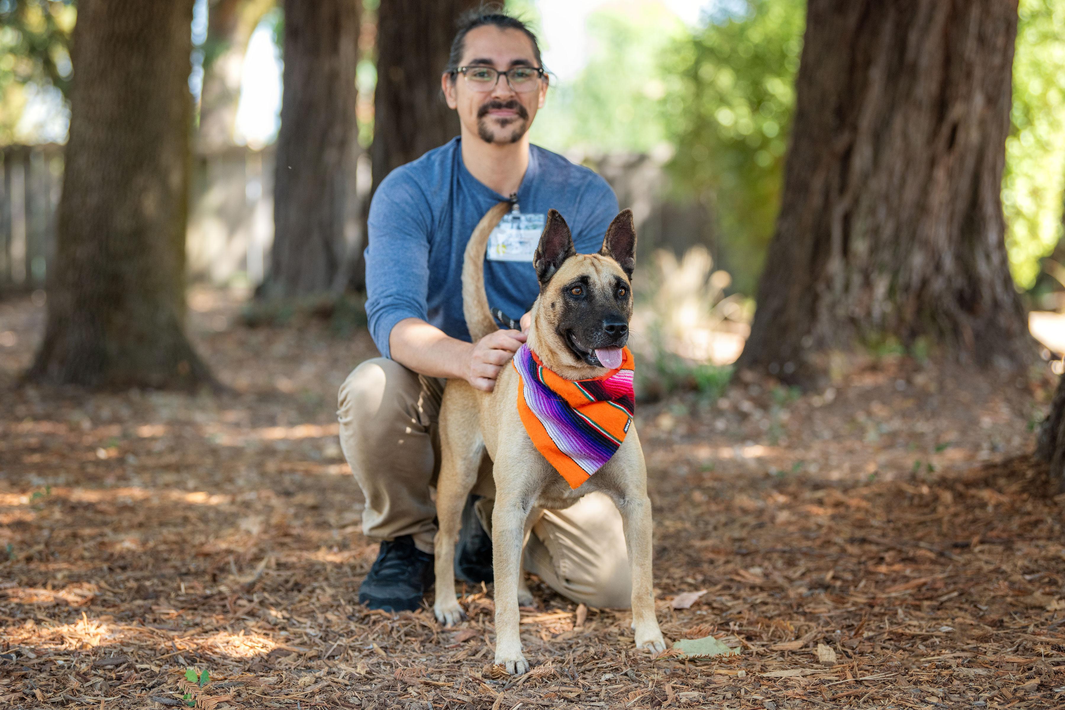 Greta, a Adoptable mixed breed in Santa Rosa, CA image 2/6