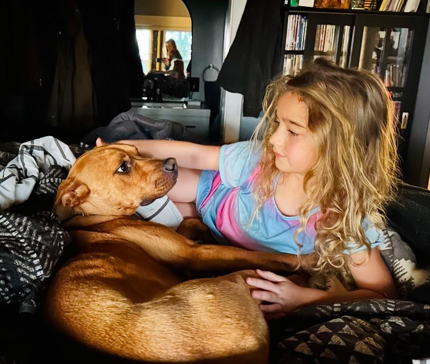 Flint, a Adoptable mixed breed in Willits , CA image 1/6