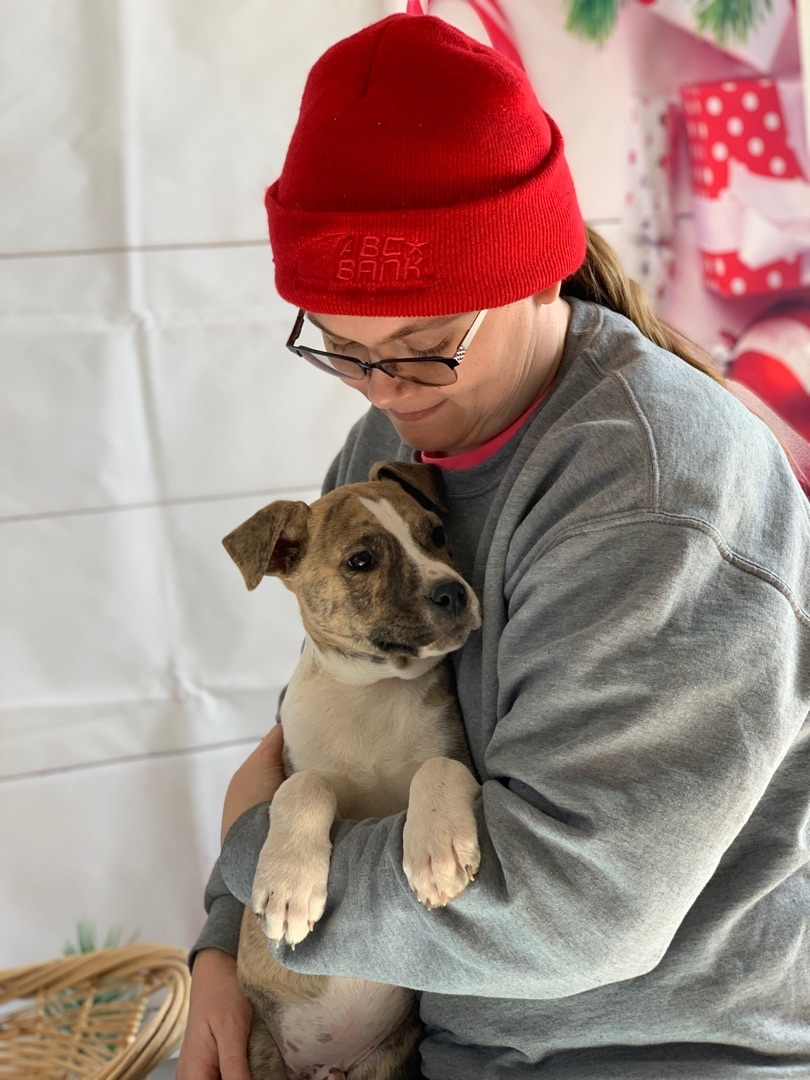 Enlarge Pepper, a Adoptable mixed breed in Lubbock, TX image 4/6