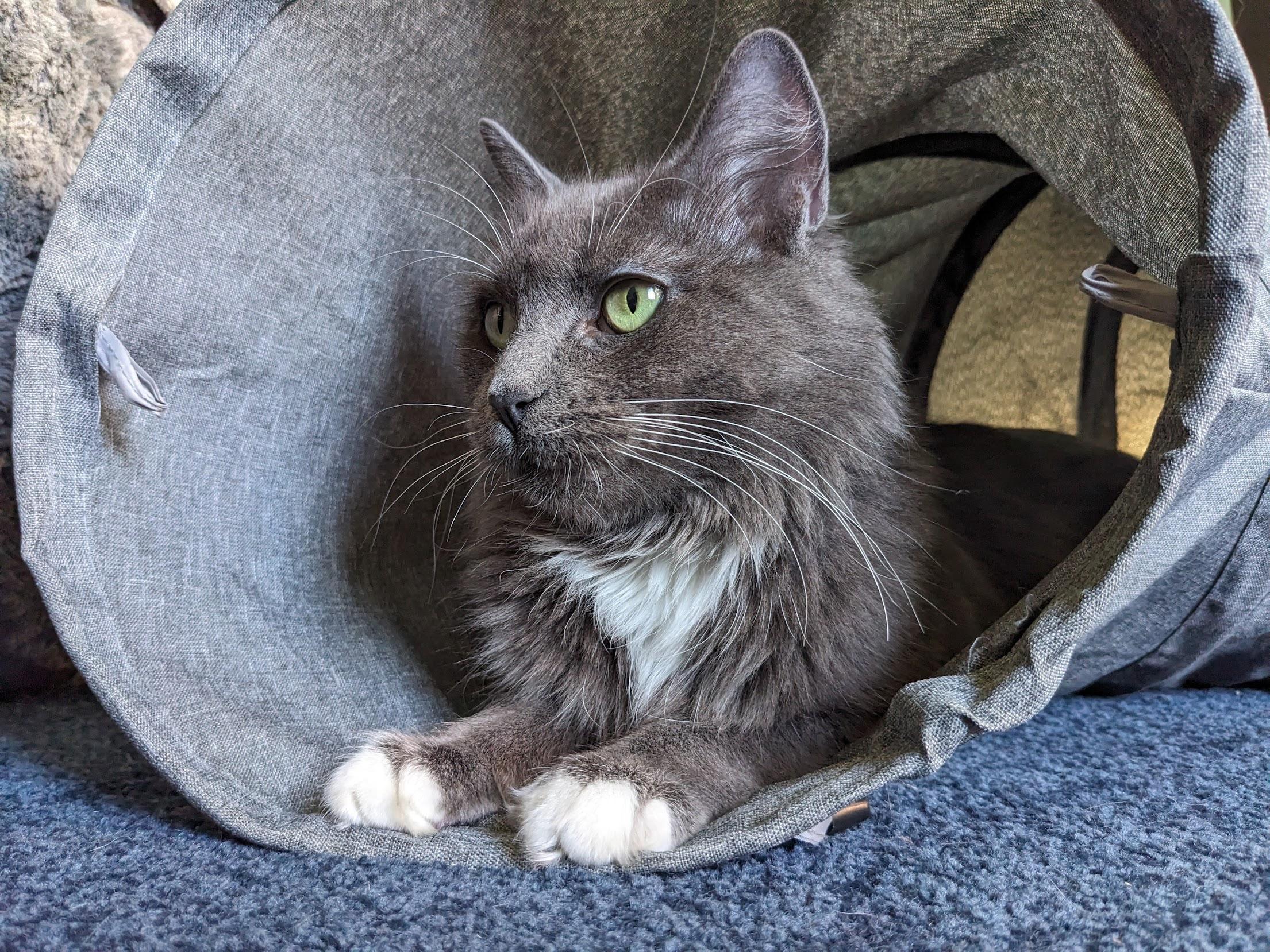 Miss Moneypenny thumbnail 2