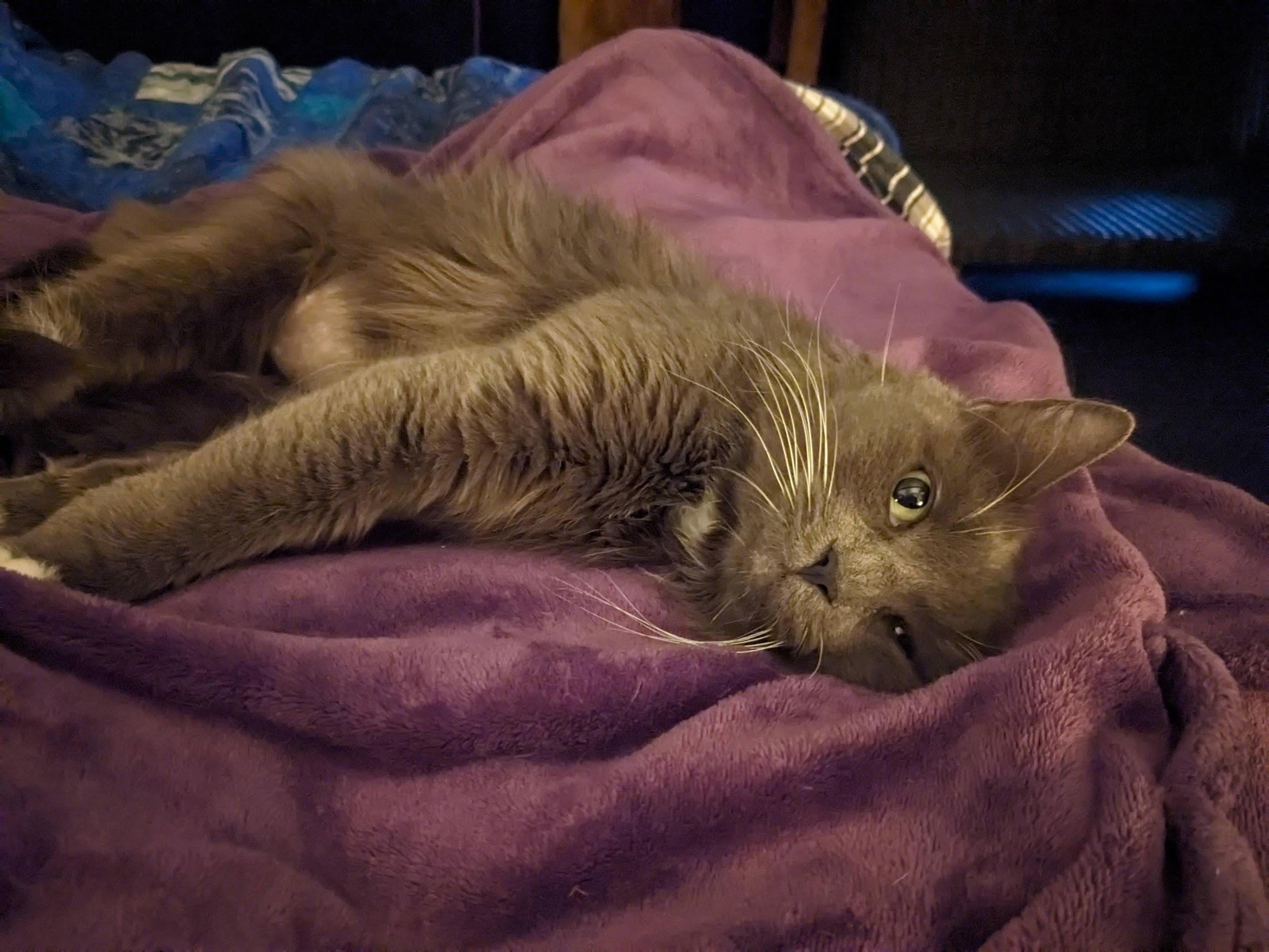 Miss Moneypenny thumbnail 3