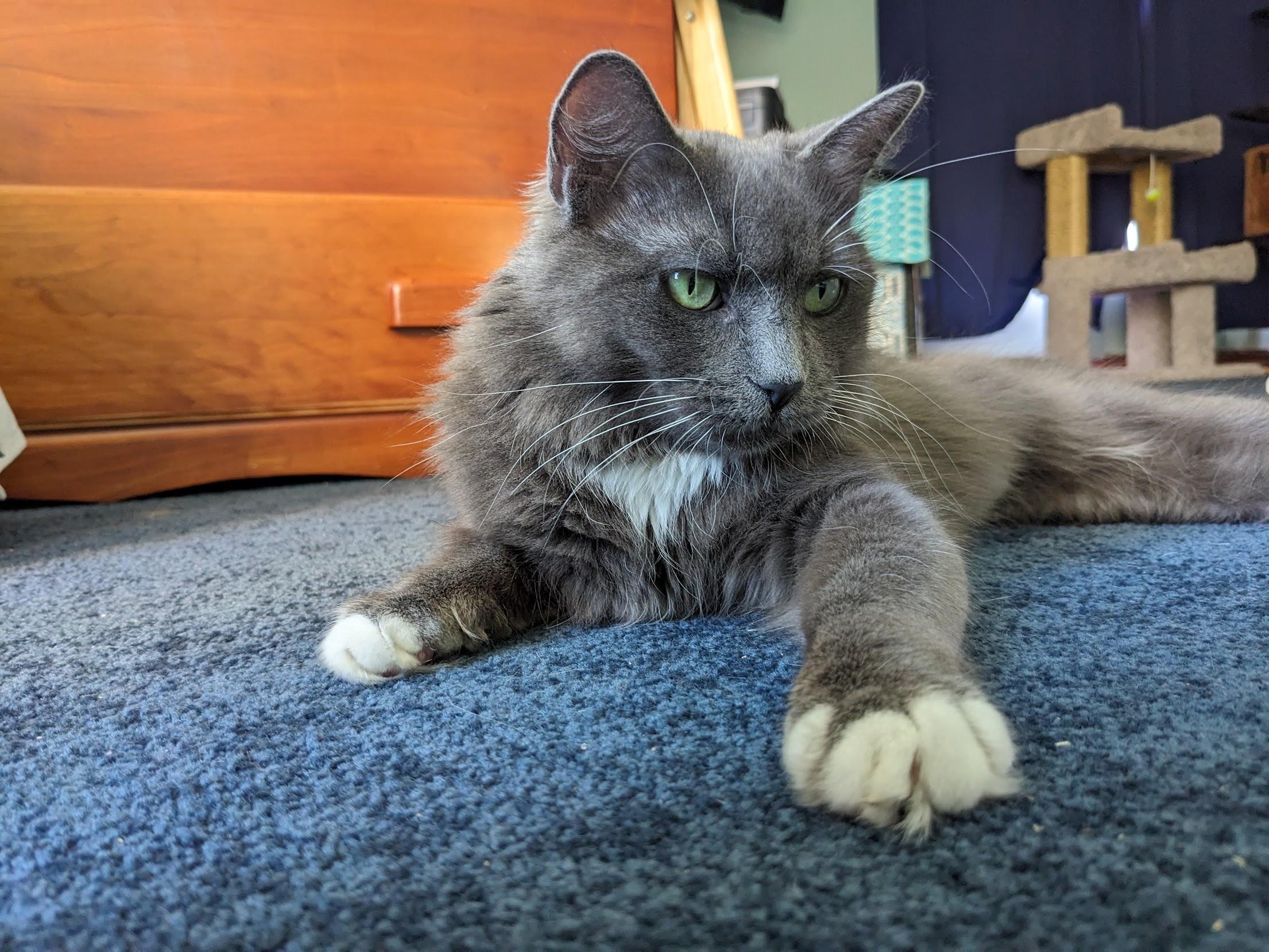 Miss Moneypenny photo 1