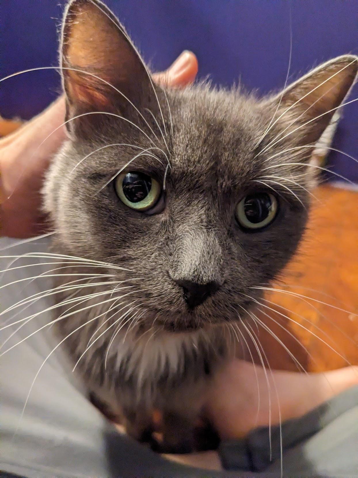 Miss Moneypenny thumbnail 4