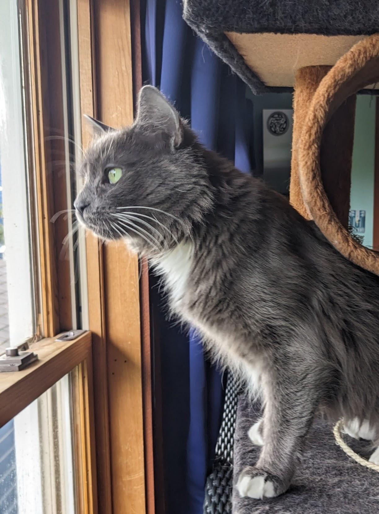 Miss Moneypenny thumbnail 5