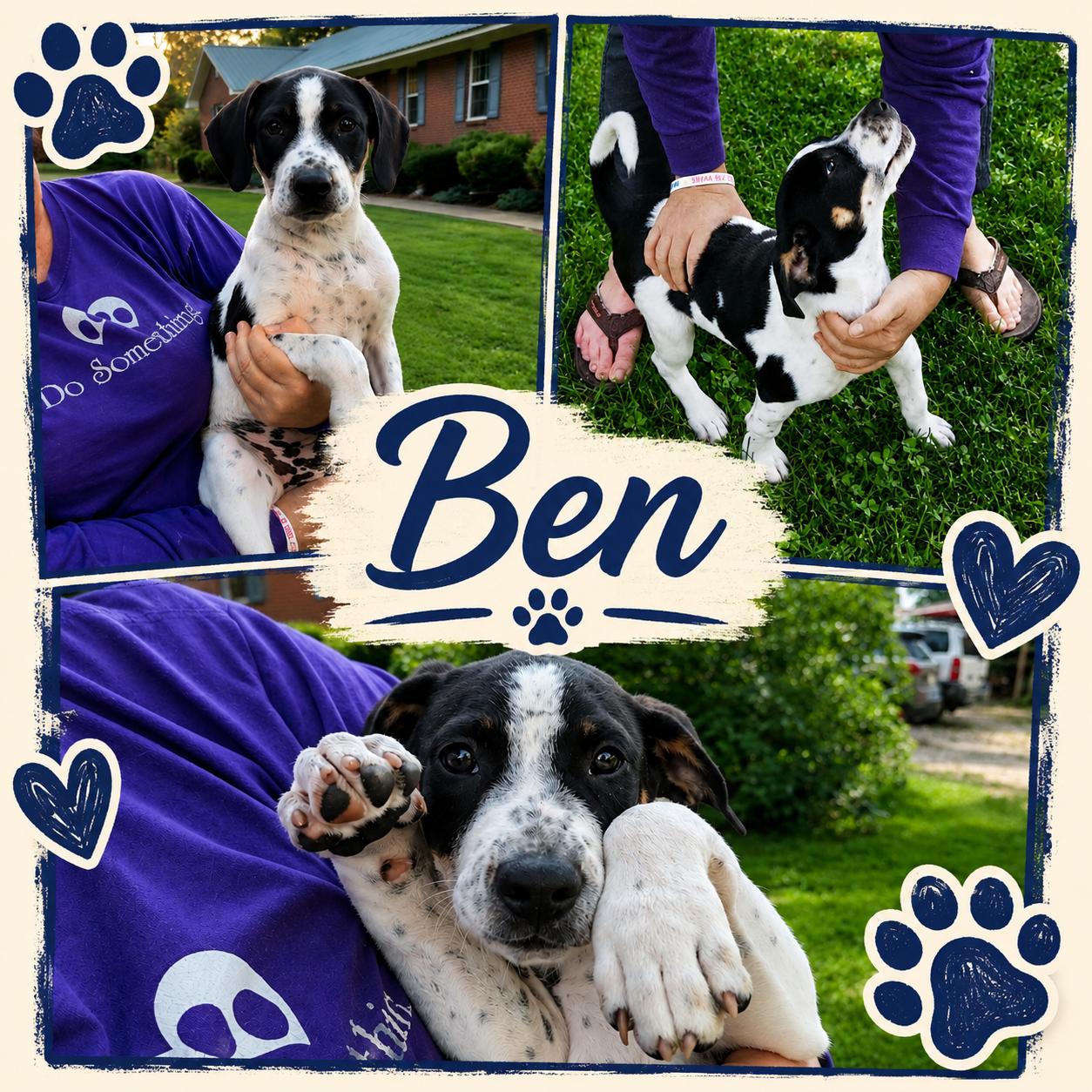 Enlarge Ben, a ADOPTABLE mixed breed in Jackson, TN image 1/1